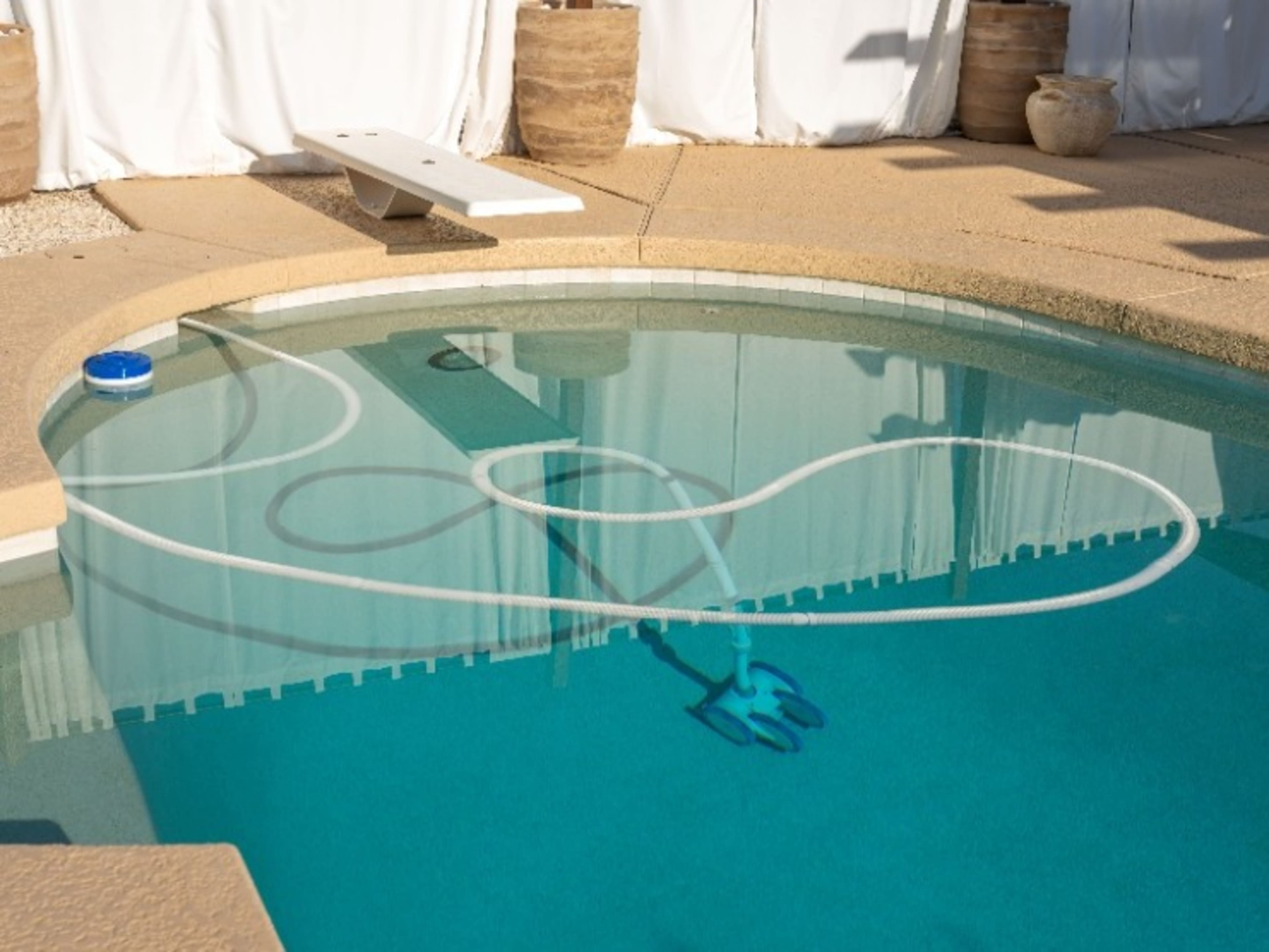 Remove Pool Vacuum