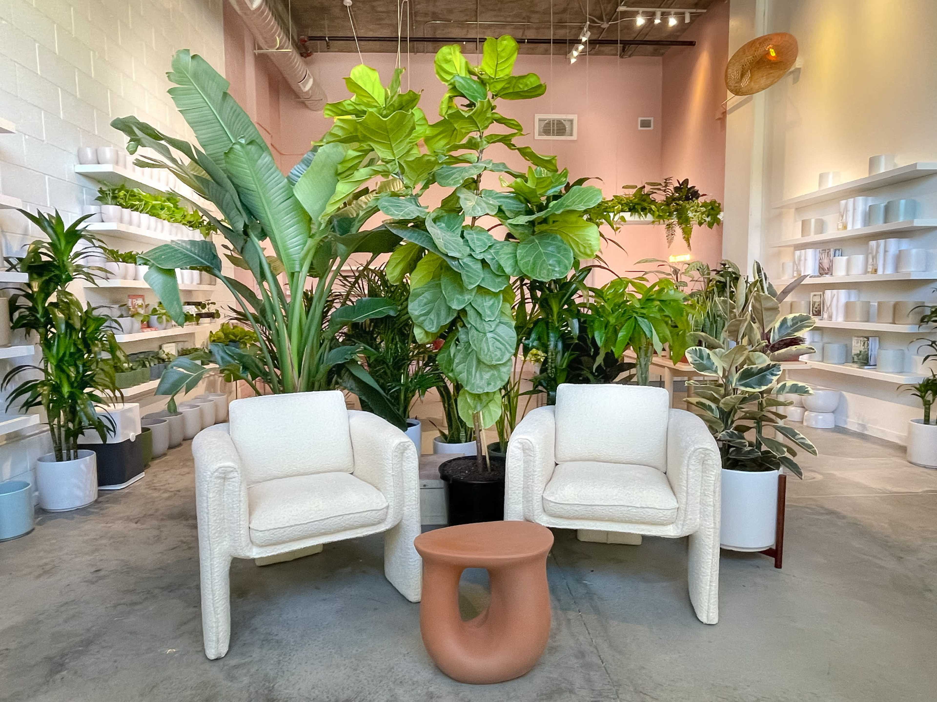 Two textured white chairs are positioned next to a round clay table amid various indoor plants in a well-lit, modern space.