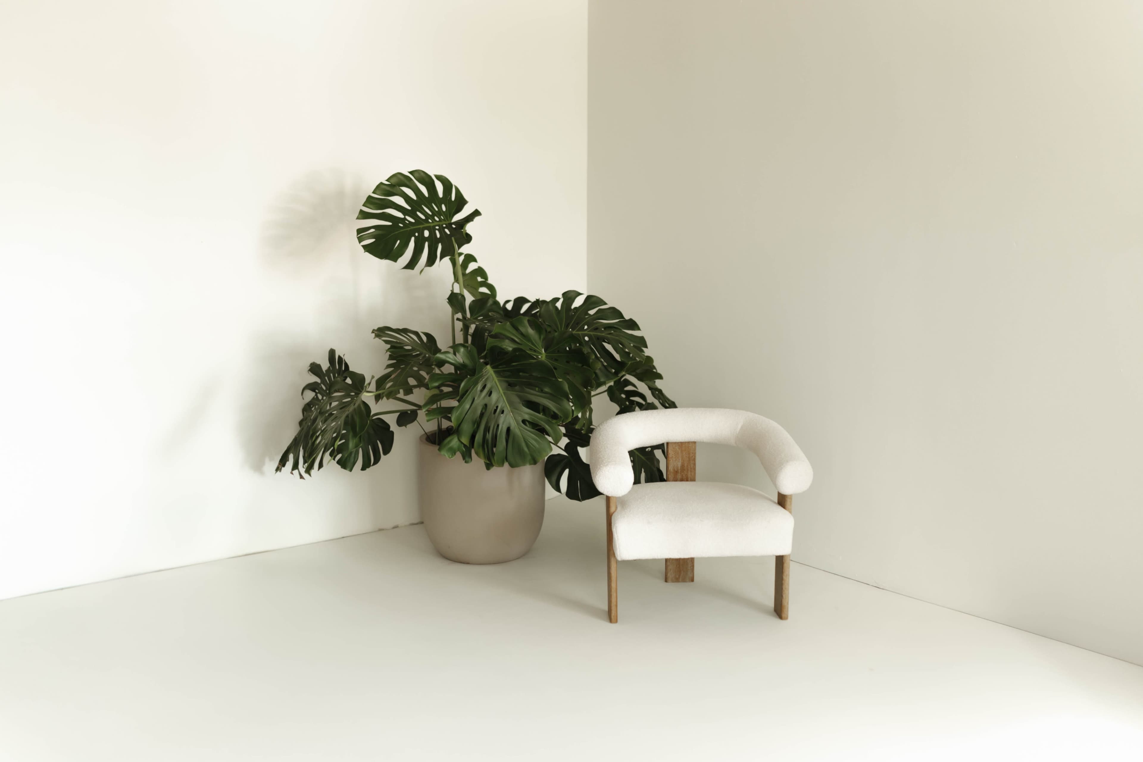 A white upholstered chair and a large potted monstera plant are positioned in a minimalist corner with neutral walls and flooring.
