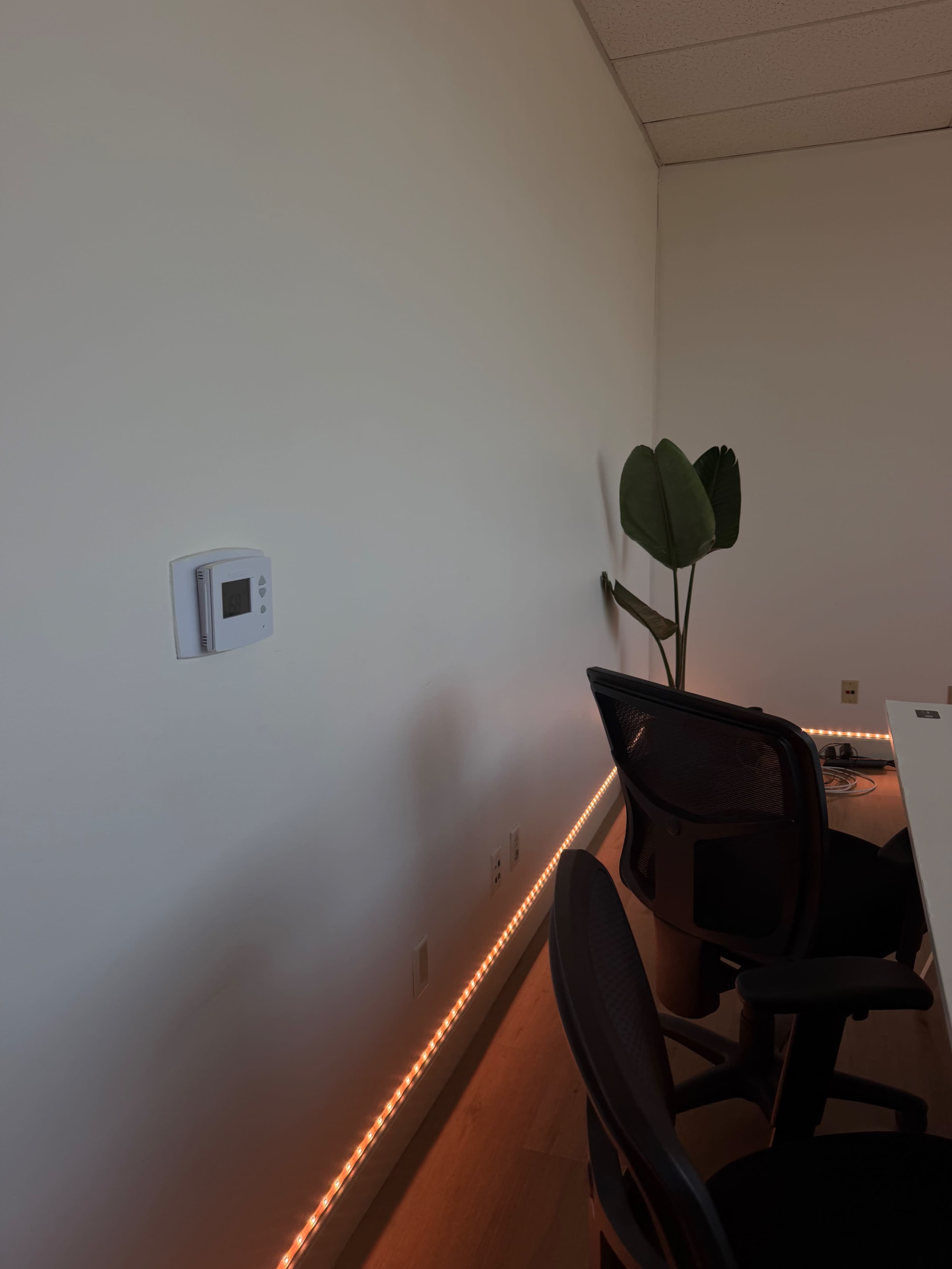 A well-lit office space features a white wall with a thermostat, a potted plant, and two office chairs near a desk, illuminated by LED strip lighting along the base.