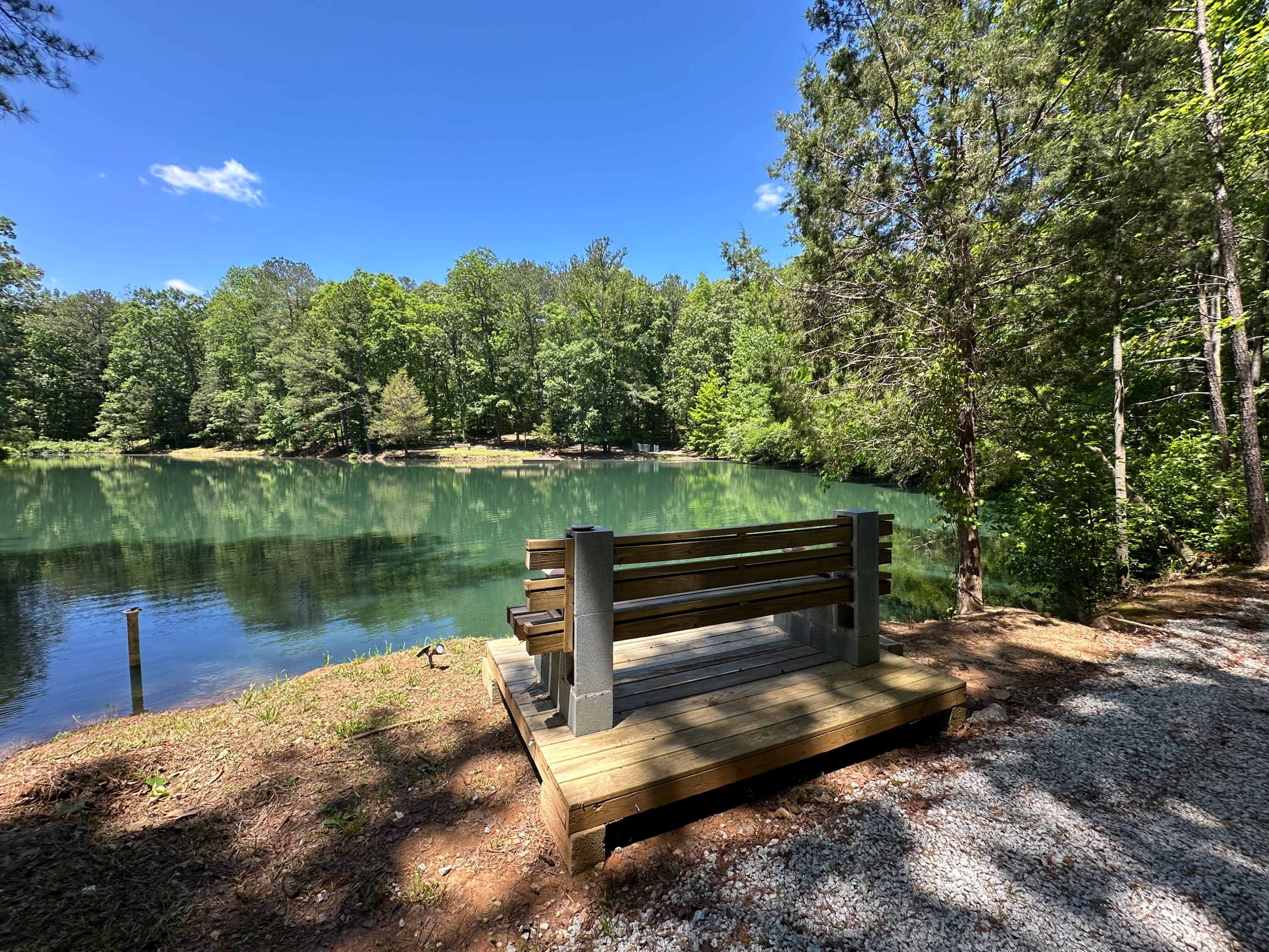 A wooden bench on a small platform overlooks a calm, green lake surrounded by dense trees.