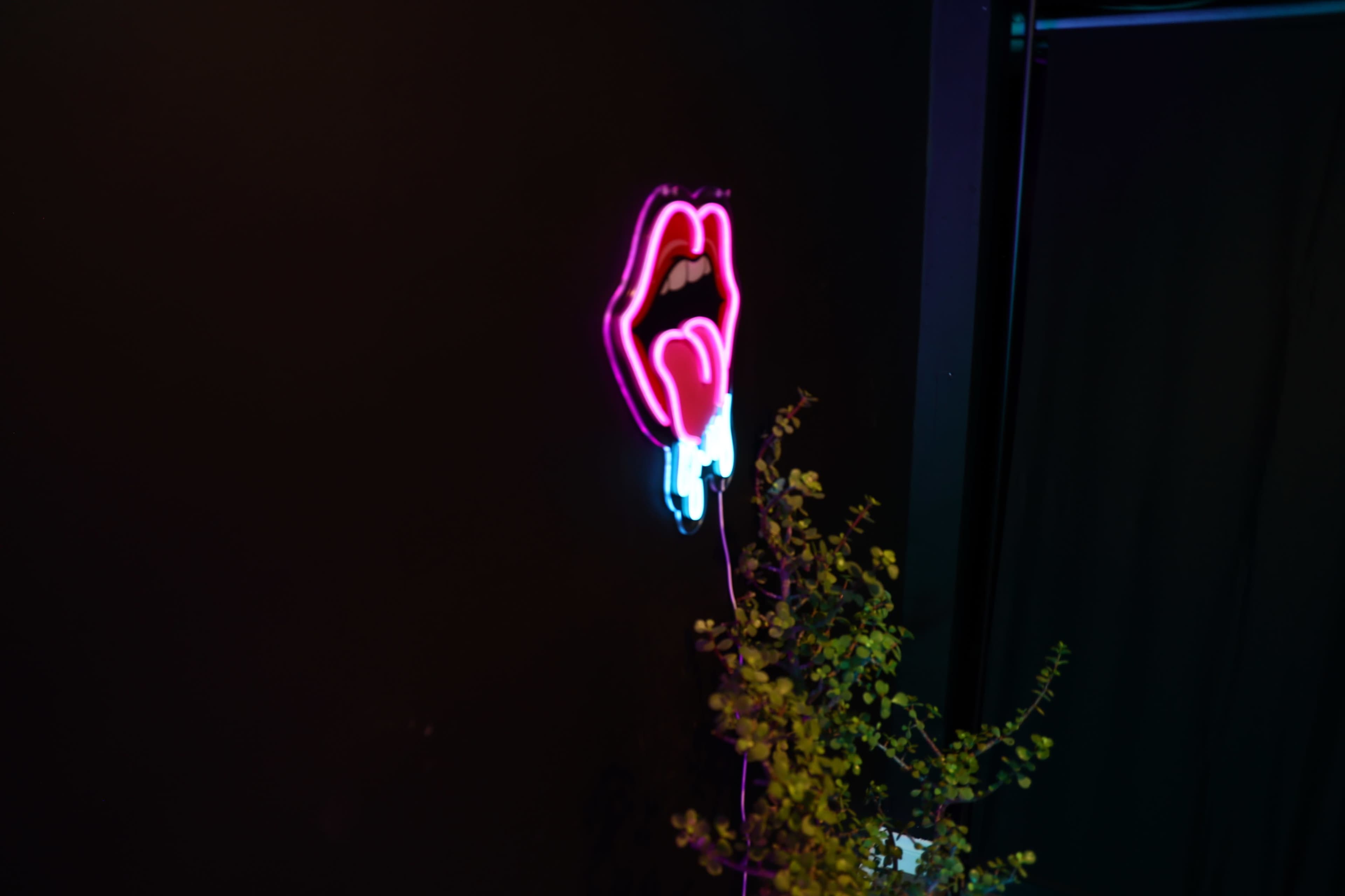 A neon sign in the shape of lips glows against a dark wall, accompanied by a small plant at the bottom.