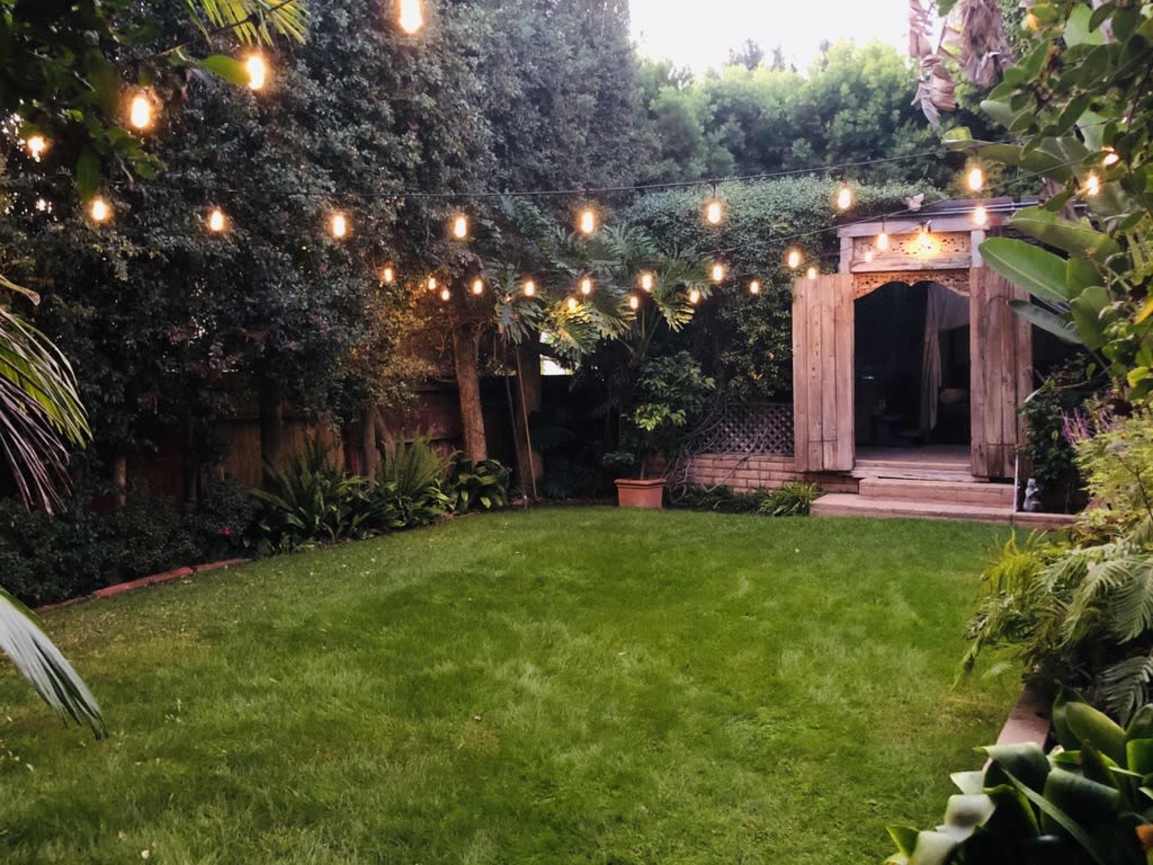 A well-maintained backyard with a grassy area, surrounded by lush greenery and strung lights above, leading to a wooden structure.