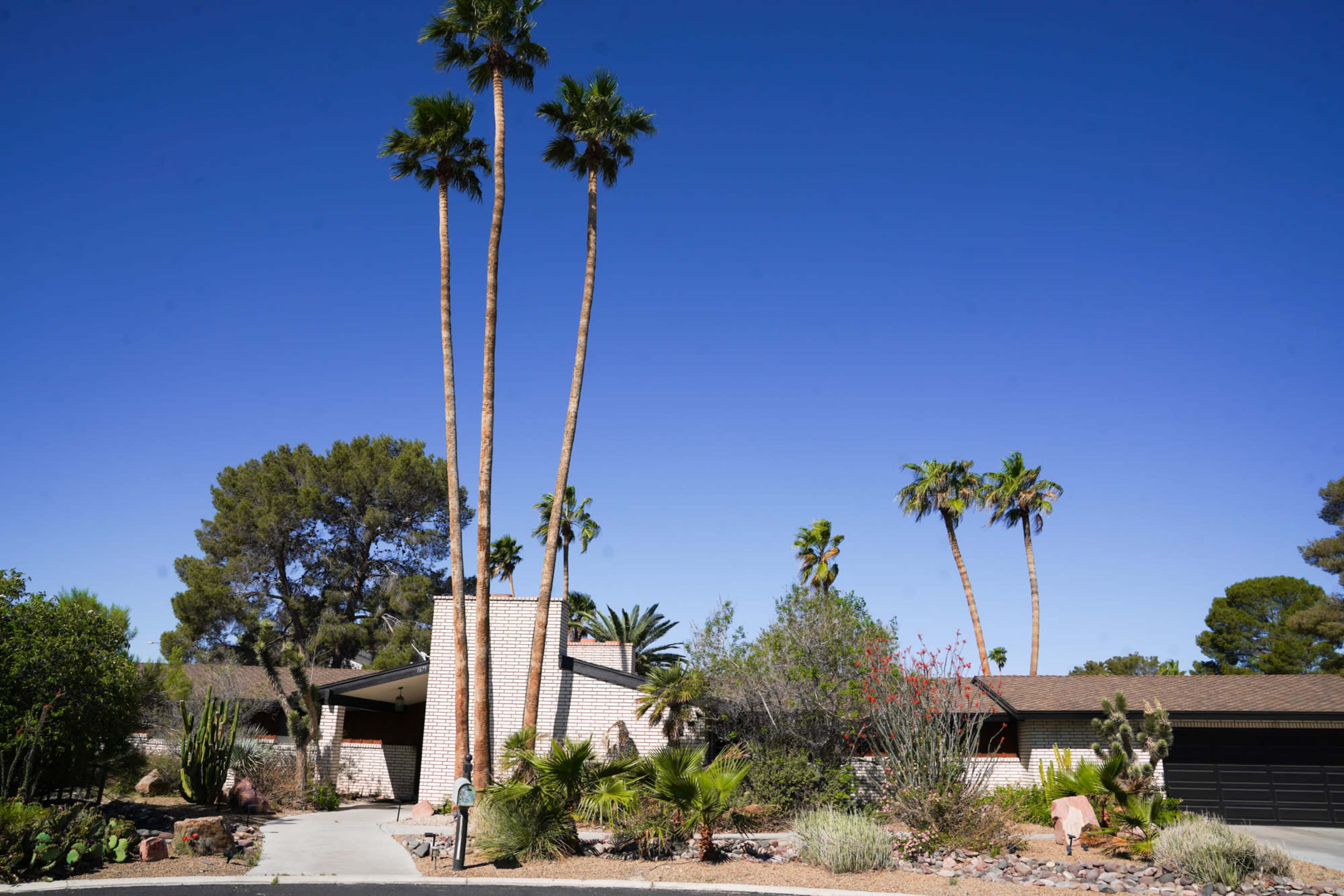A modern house surrounded by palm trees and desert landscaping under a clear blue sky.
