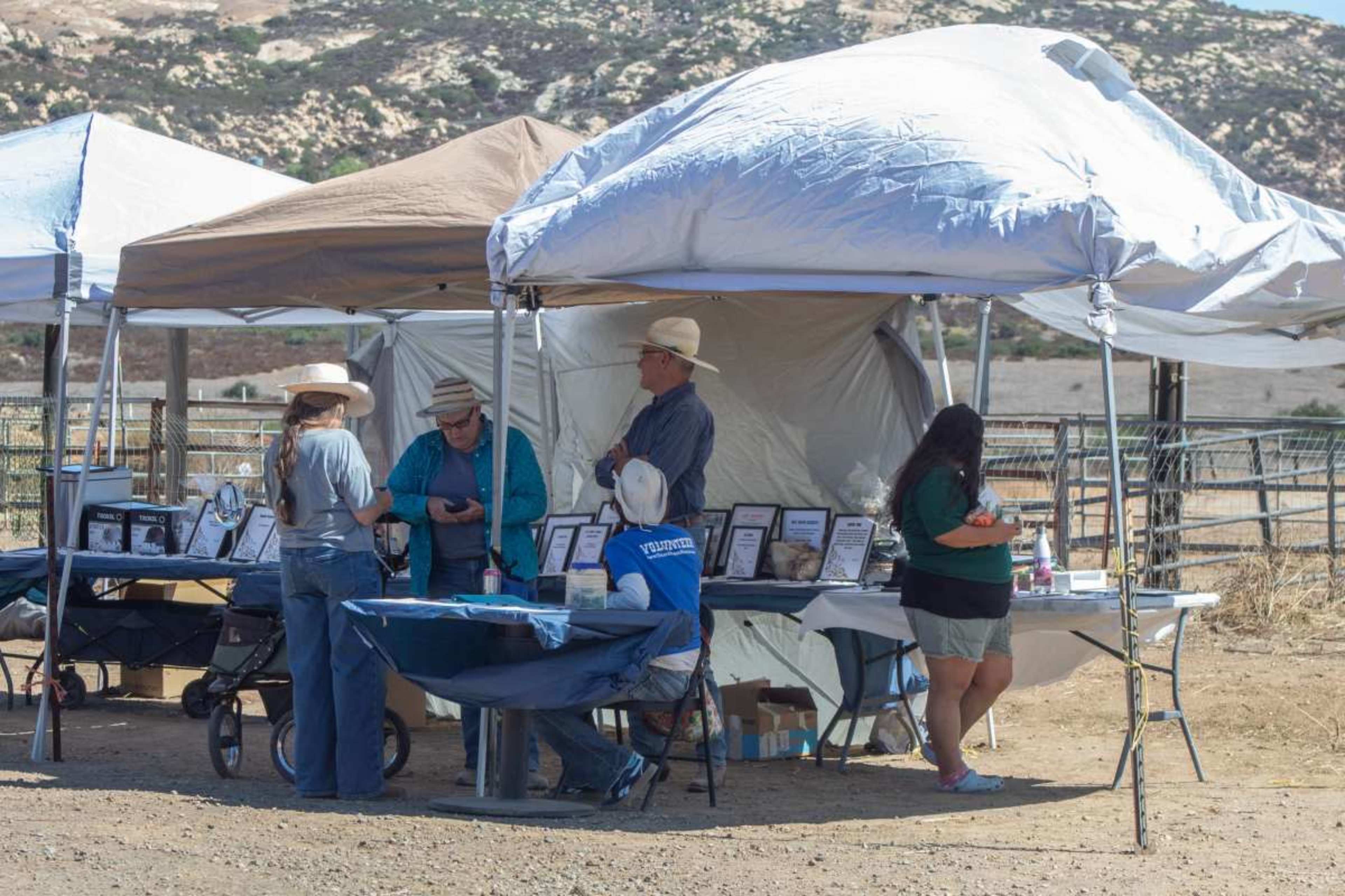 A group of people stands under canopies at an outdoor event, engaging in conversation and viewing displays on tables.