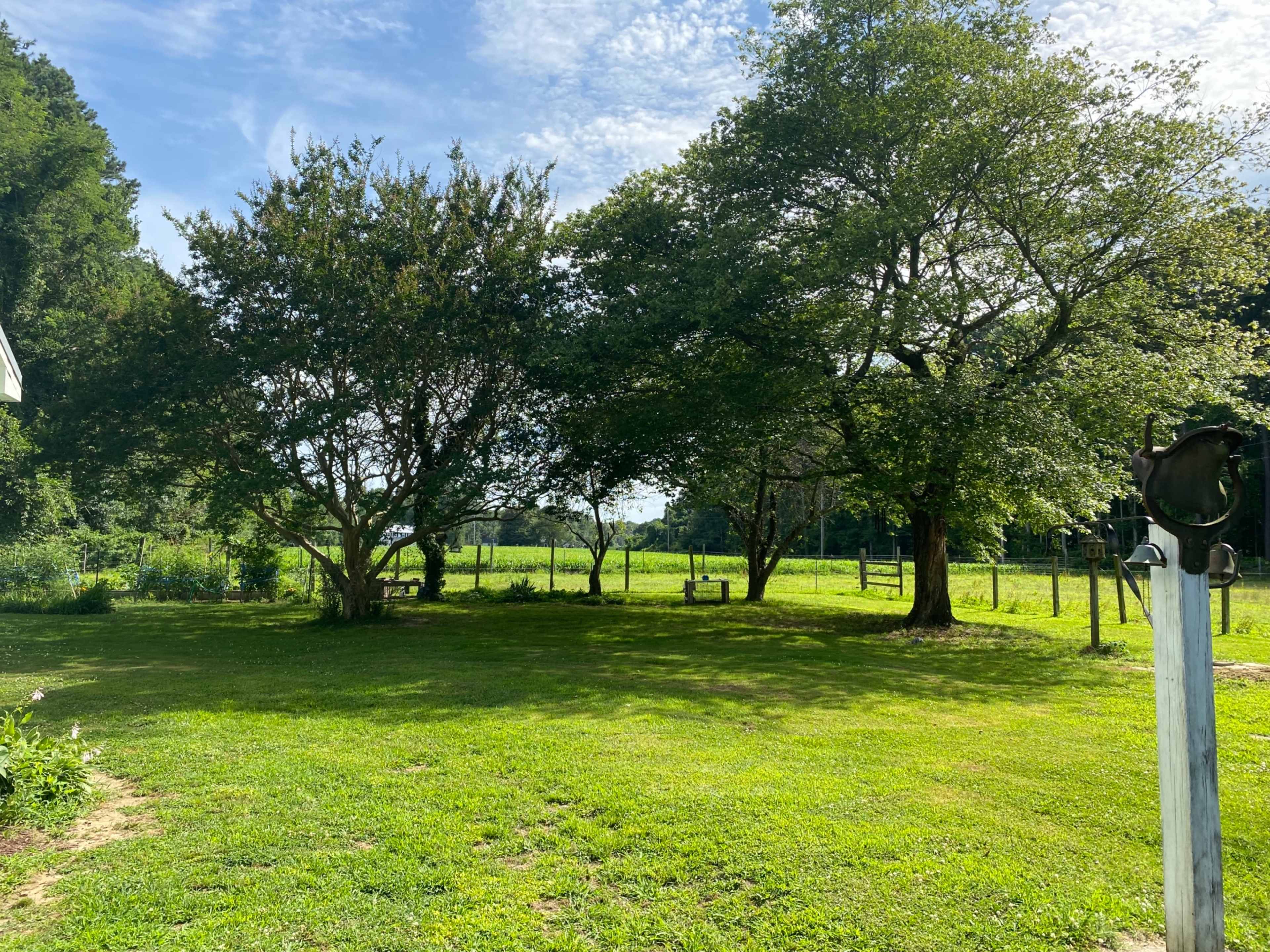 A grassy area features two trees and a wooden swing, with a fence and fields in the background.