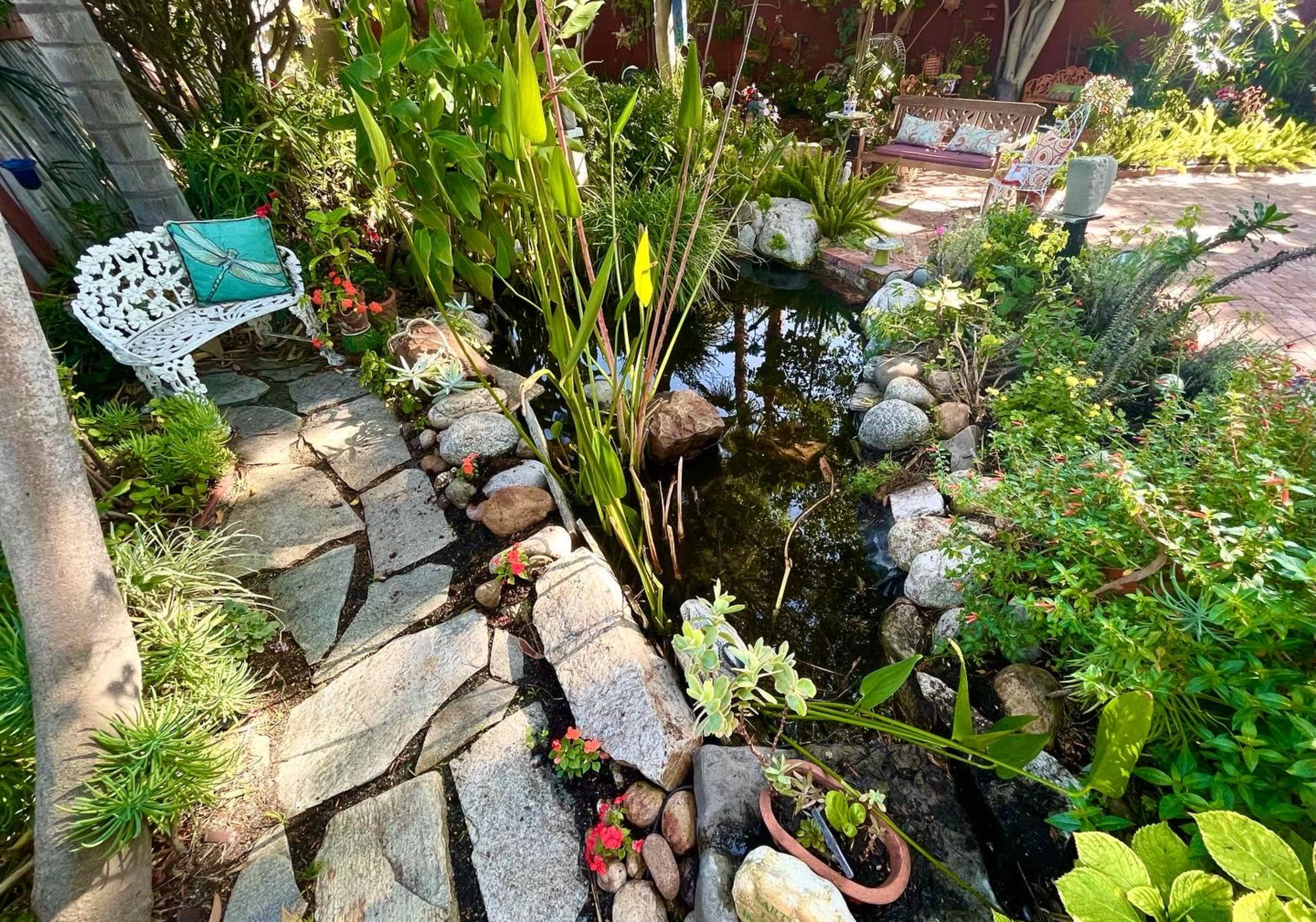 Gorgeous Bricked-In Backyard Botanical Art and Sculpture Garden on Canyon Near Downtown. Image in North Park, San Diego, CA