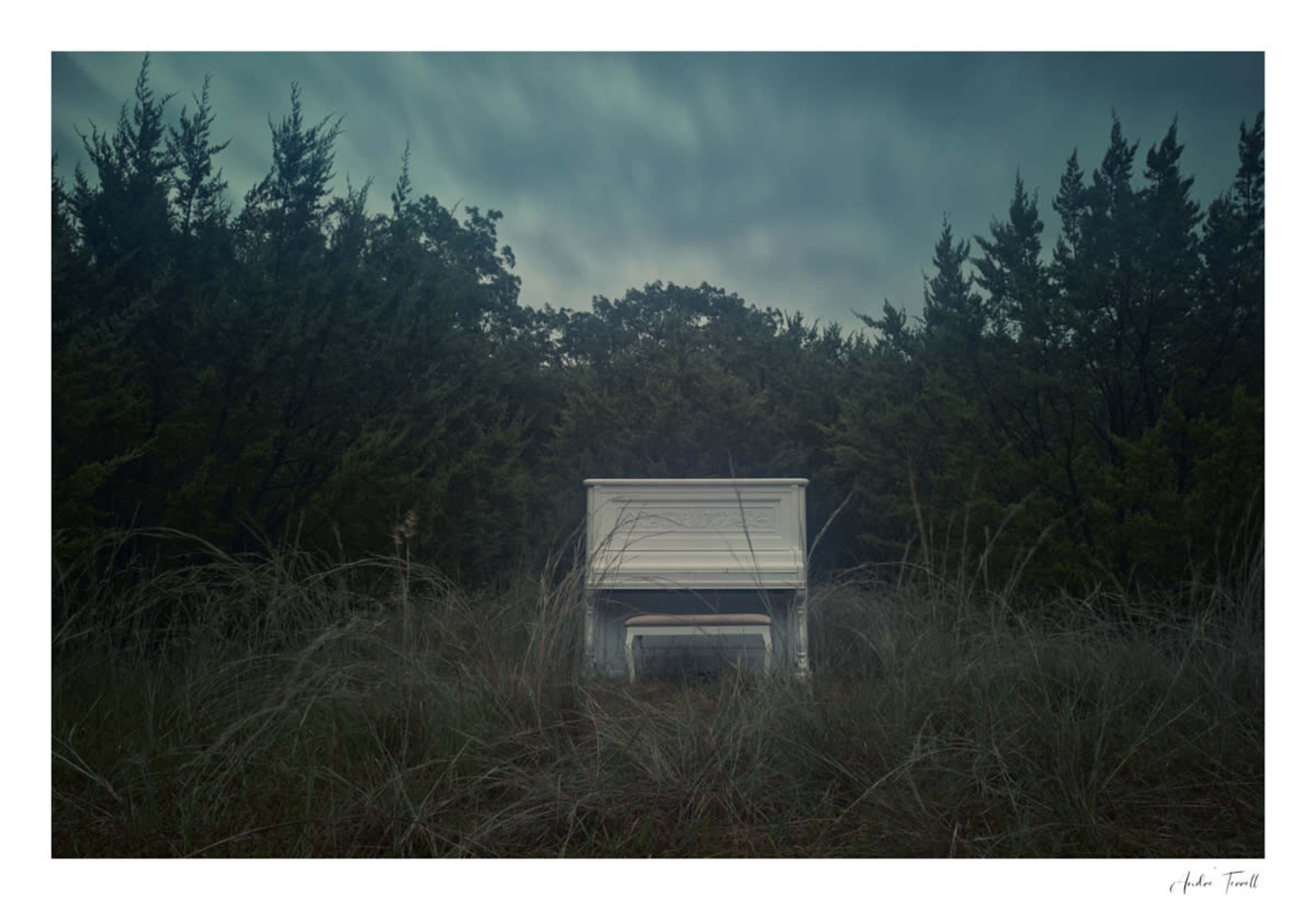Whimsical White Piano in the Woods Image in , Weatherford, TX