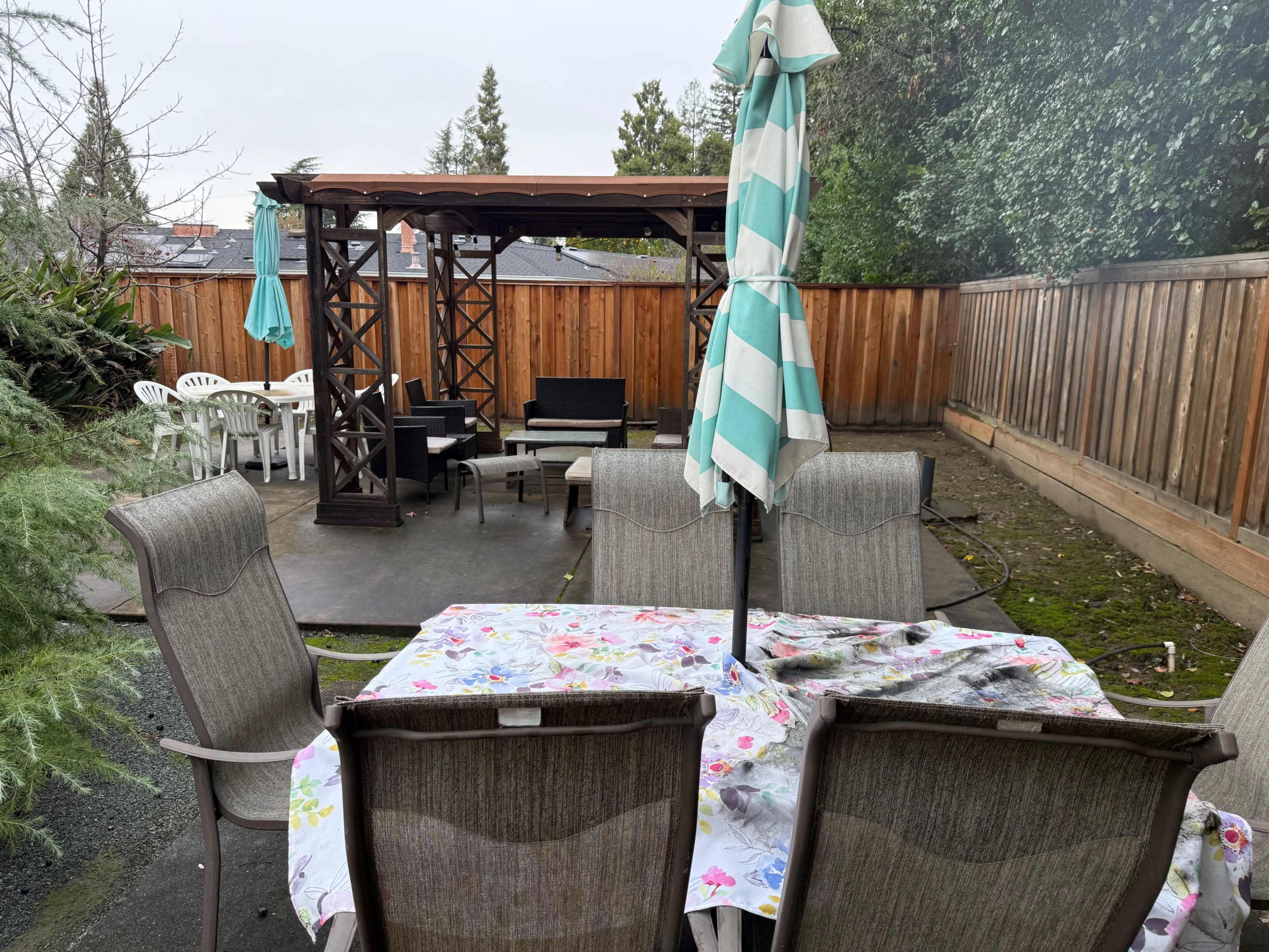 Charming backyard venue: bring your own decorations Image in Walnut Creek, Walnut Creek, CA