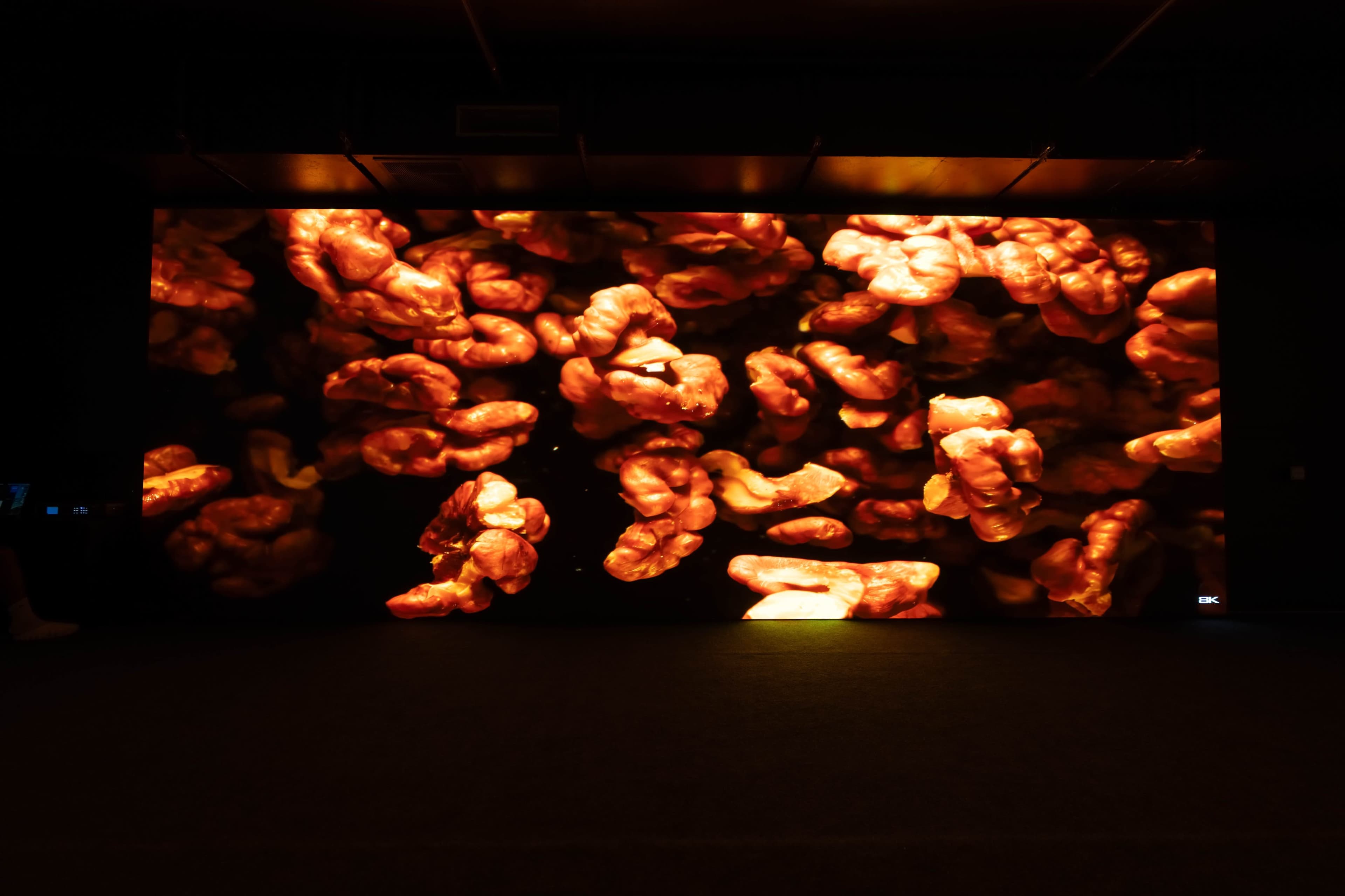 30’ LED Wall Studio | Film, Music Videos & Commercials Image in Glendale, Glendale, AZ
