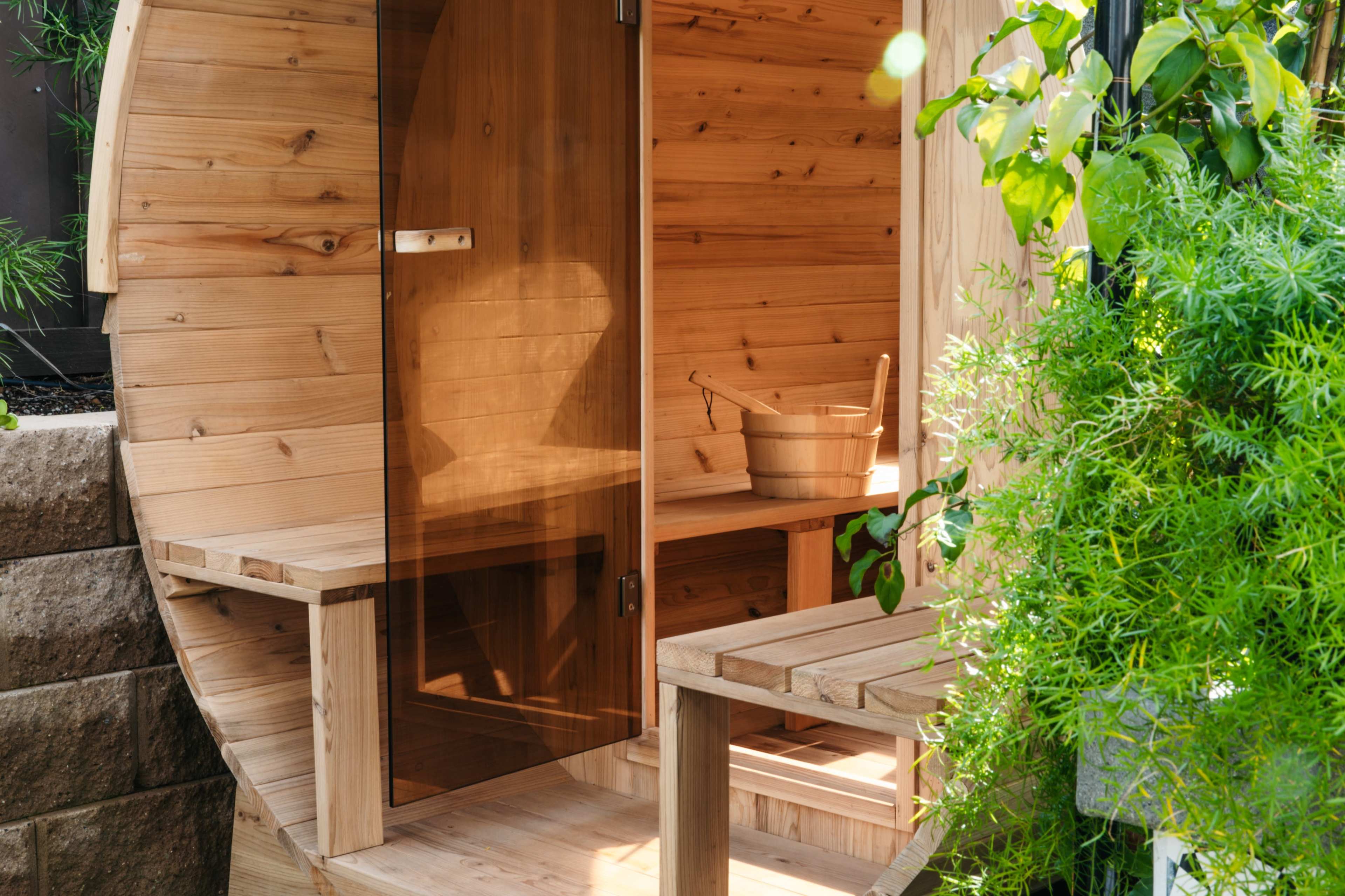 A wooden sauna with a glass door, accompanied by a bucket and a small bench, nestled among green plants.