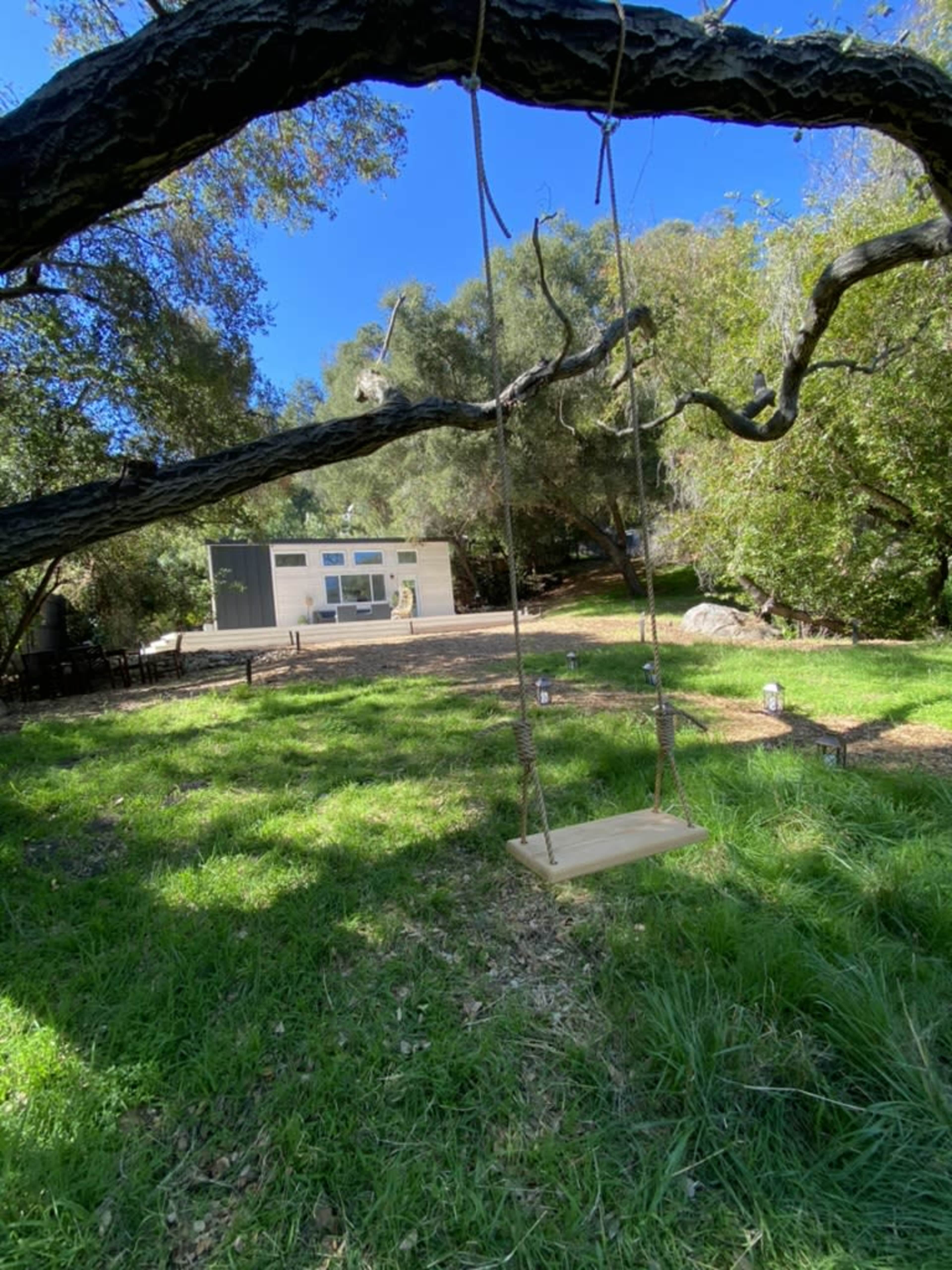 A wooden swing hangs from a low branch of a tree, overlooking a grassy area with a small building in the background.
