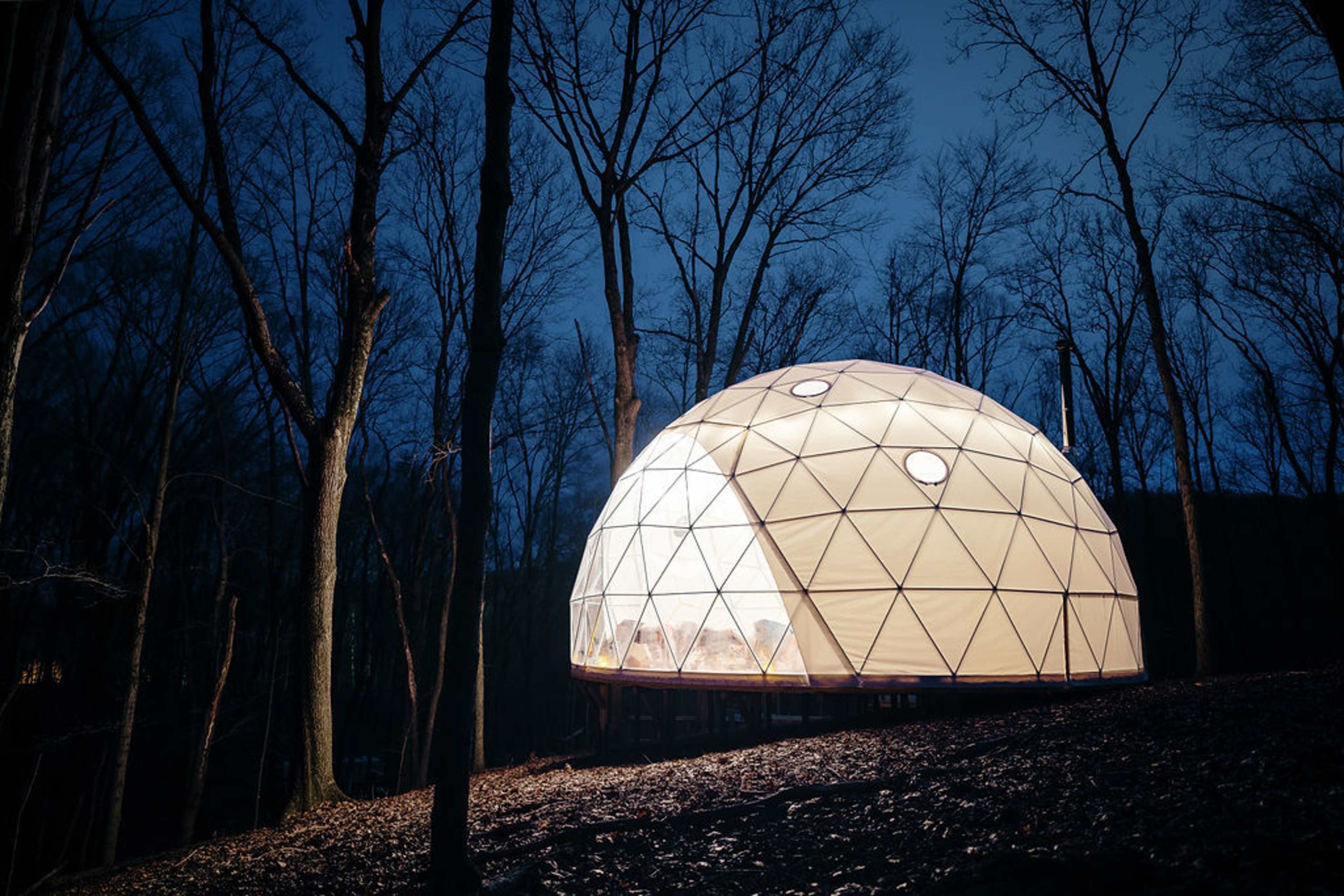 A geodesic dome structure is illuminated at night, surrounded by bare trees in a forested area.