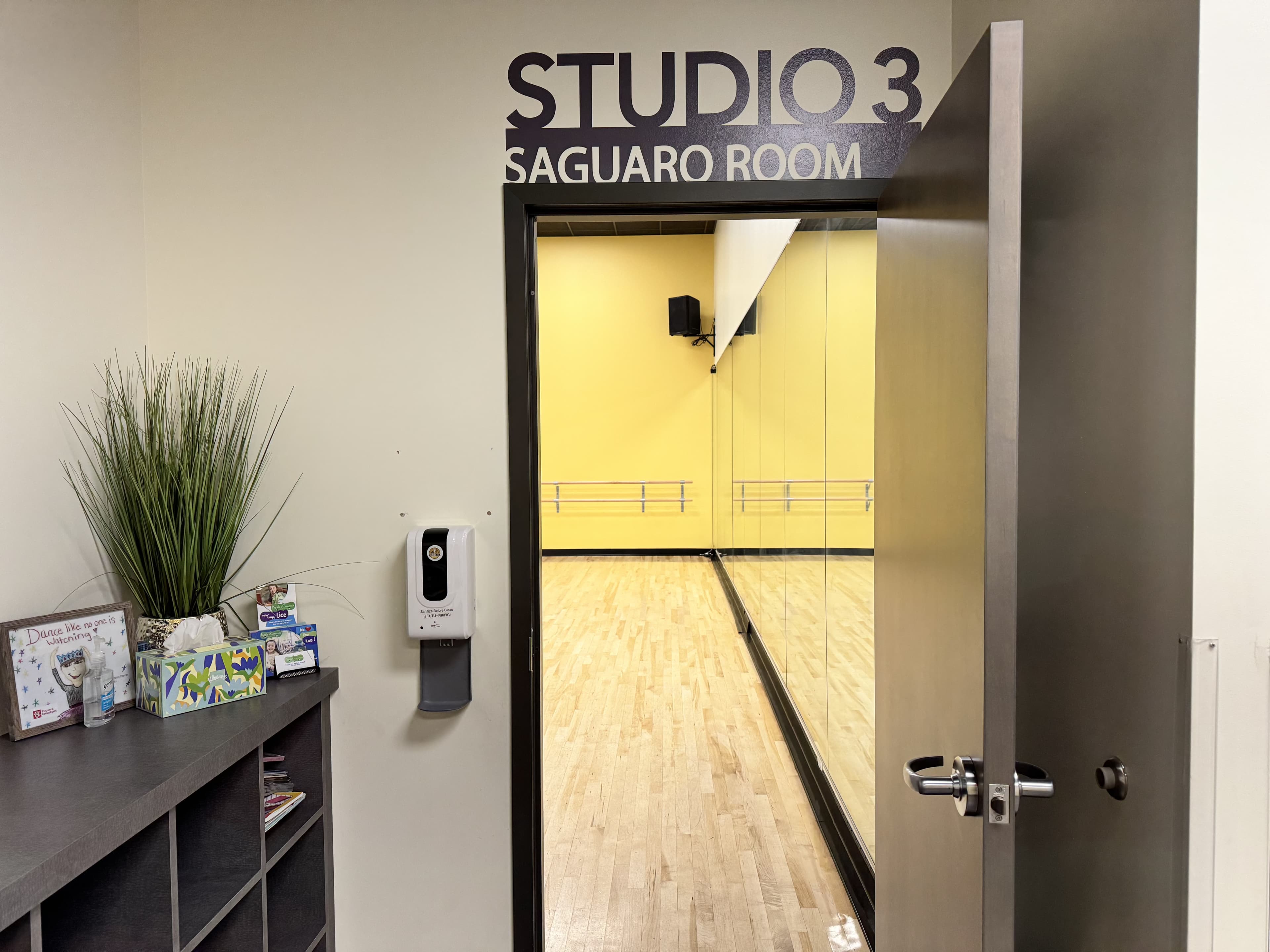 The entrance to Studio 3, labeled as the Saguaro Room, featuring a hallway with a mirror and wooden flooring inside.