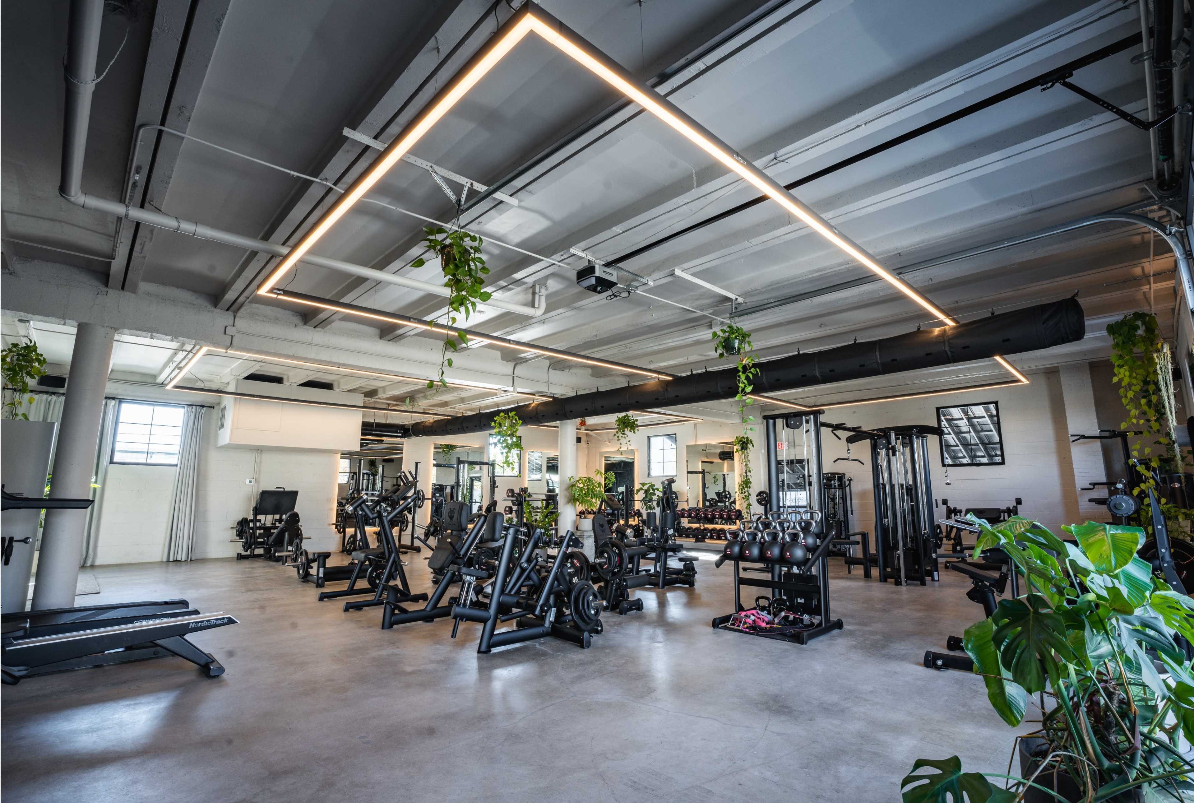 A spacious gym with various exercise equipment arranged around the room, complemented by plants and modern lighting.