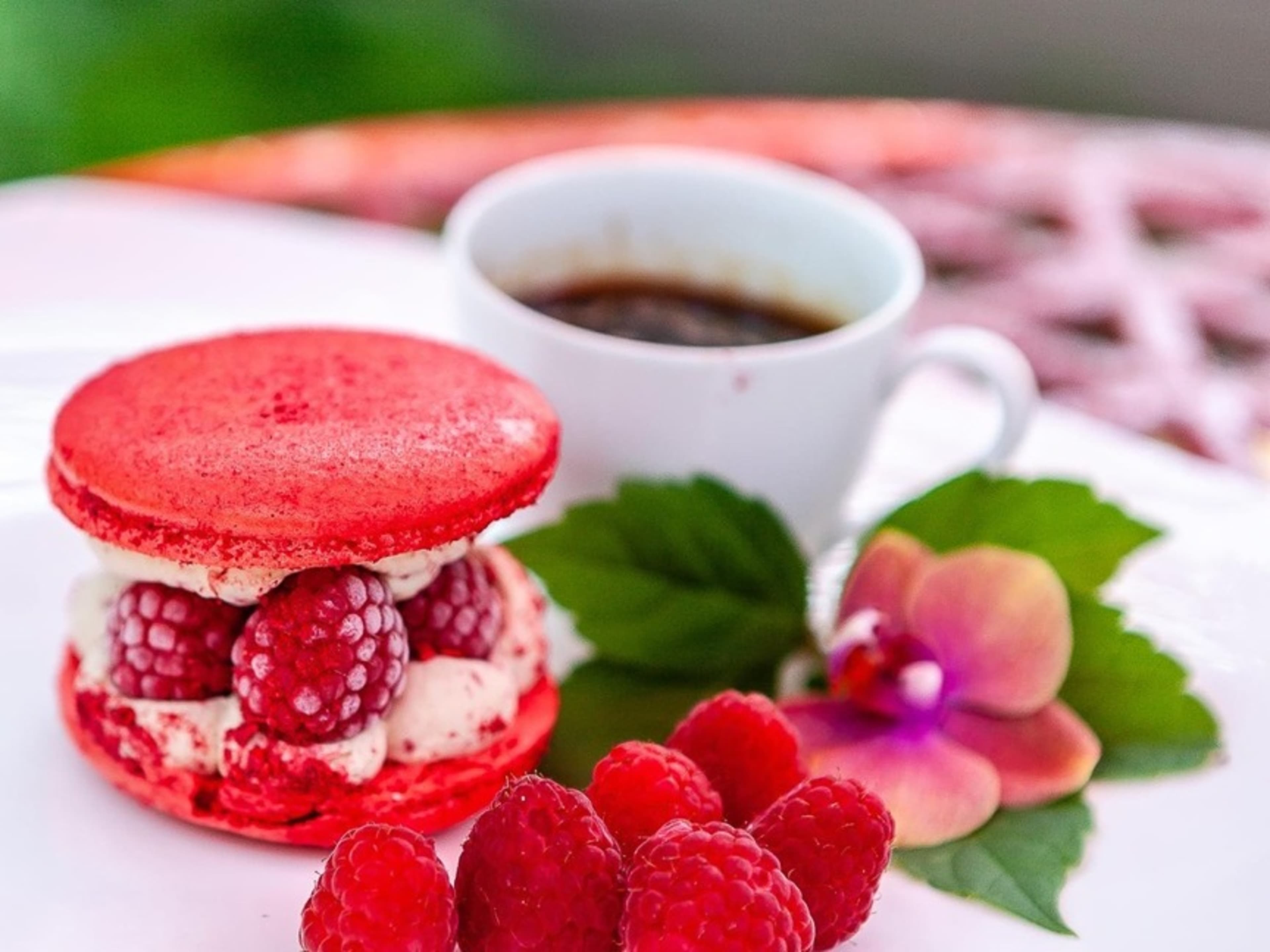 Raspberry Jumbo Macaron