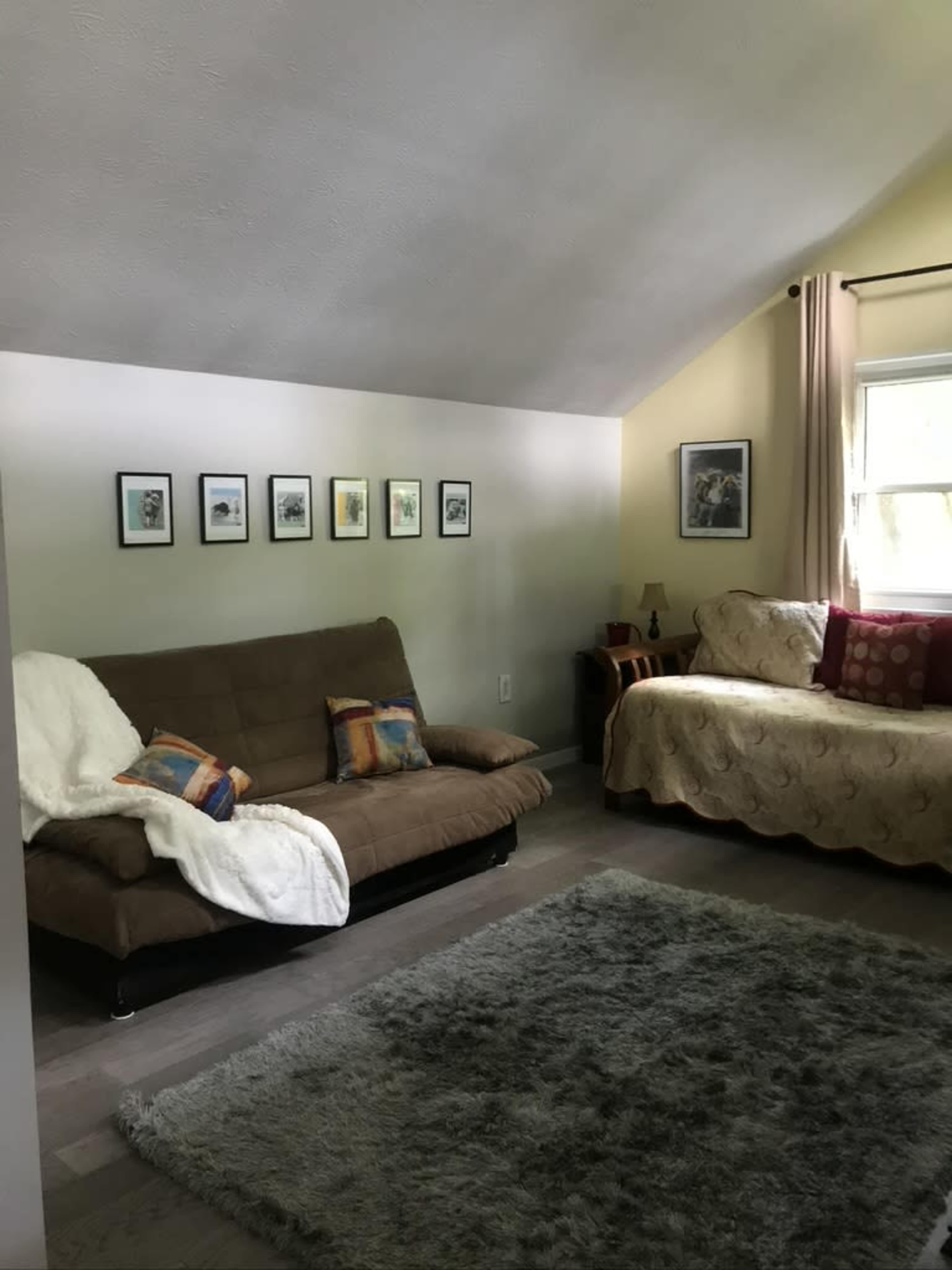 The room features a brown futon and a sofa adorned with cushions, accompanied by framed pictures on the wall and a large area rug on the floor.