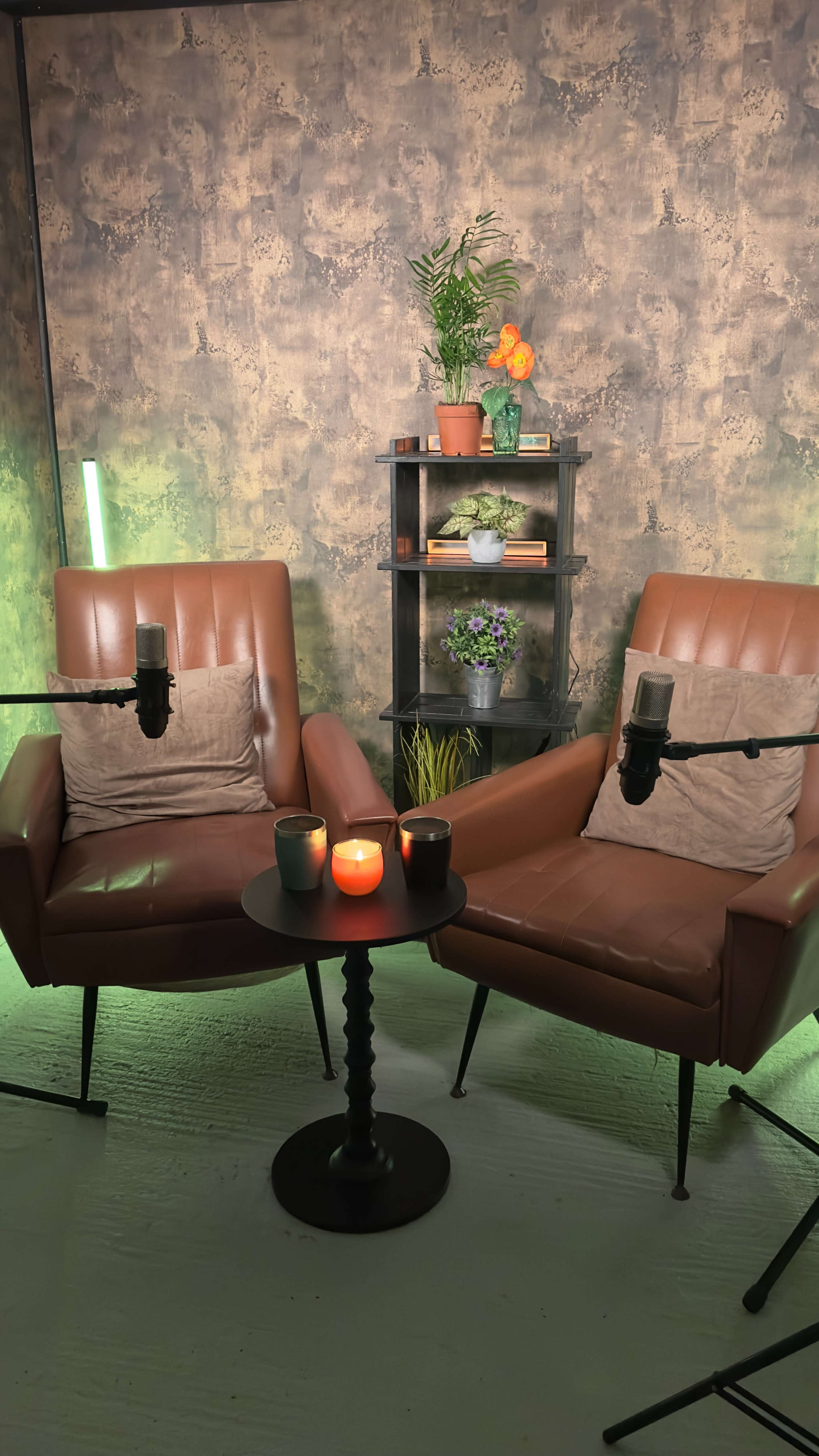 The image shows two brown armchairs facing each other with a small table between them, surrounded by a green-lit backdrop and a shelf containing plants and decorative items.