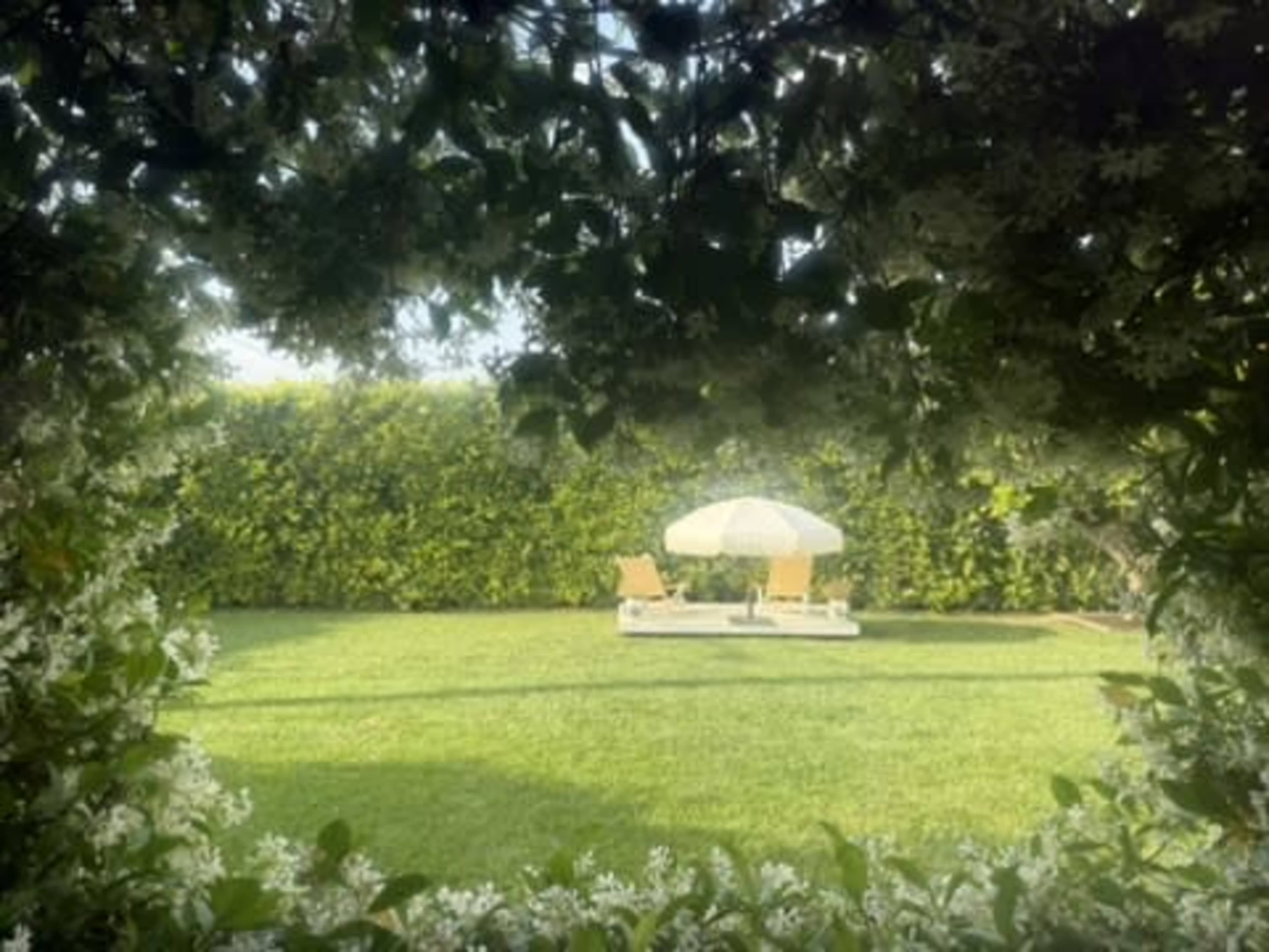 A sunshade is positioned on a grassy area surrounded by a hedge and blooming flowers.