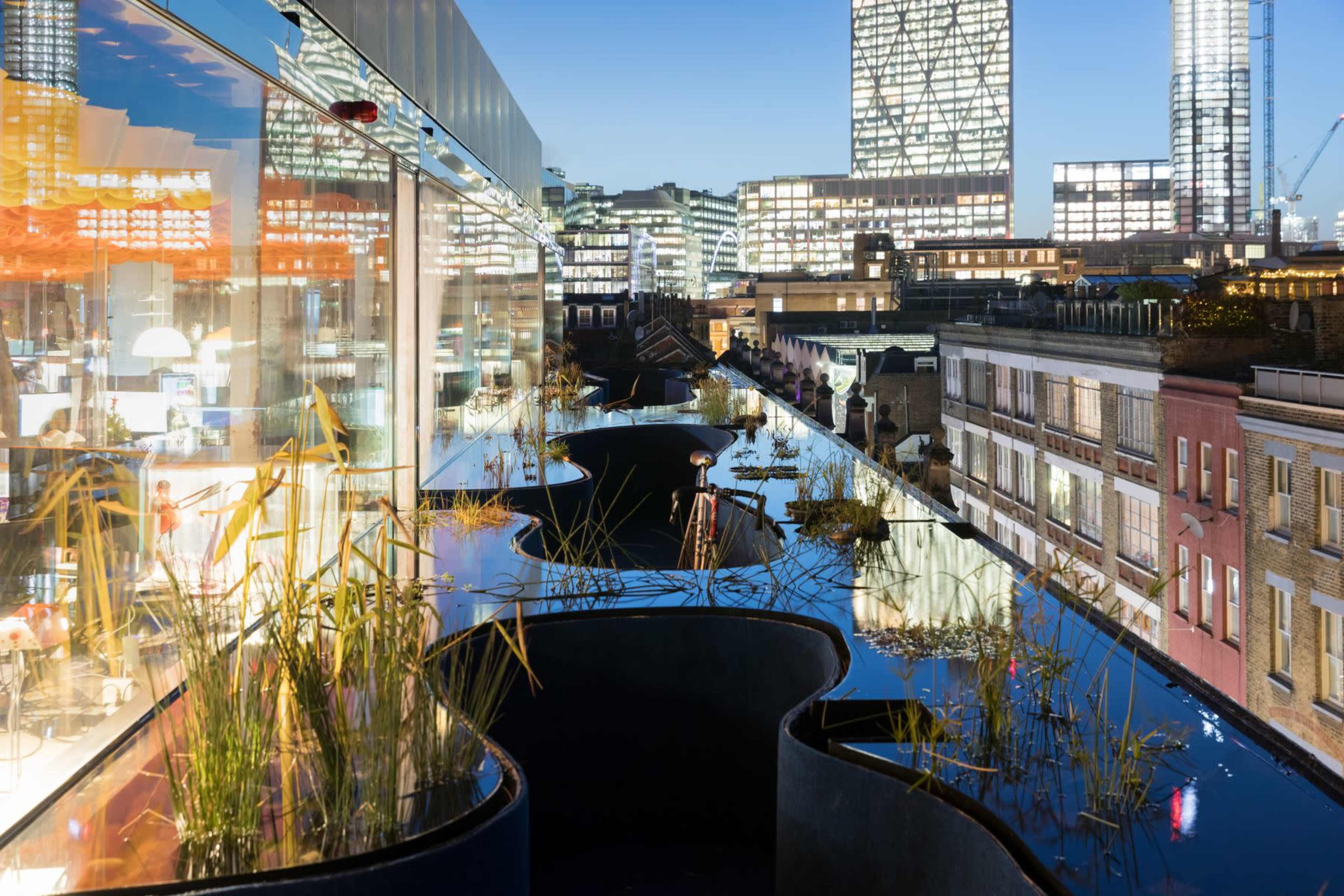 The image shows a rooftop urban landscape featuring a water channel surrounded by plants, with city buildings illuminated in the background at dusk.