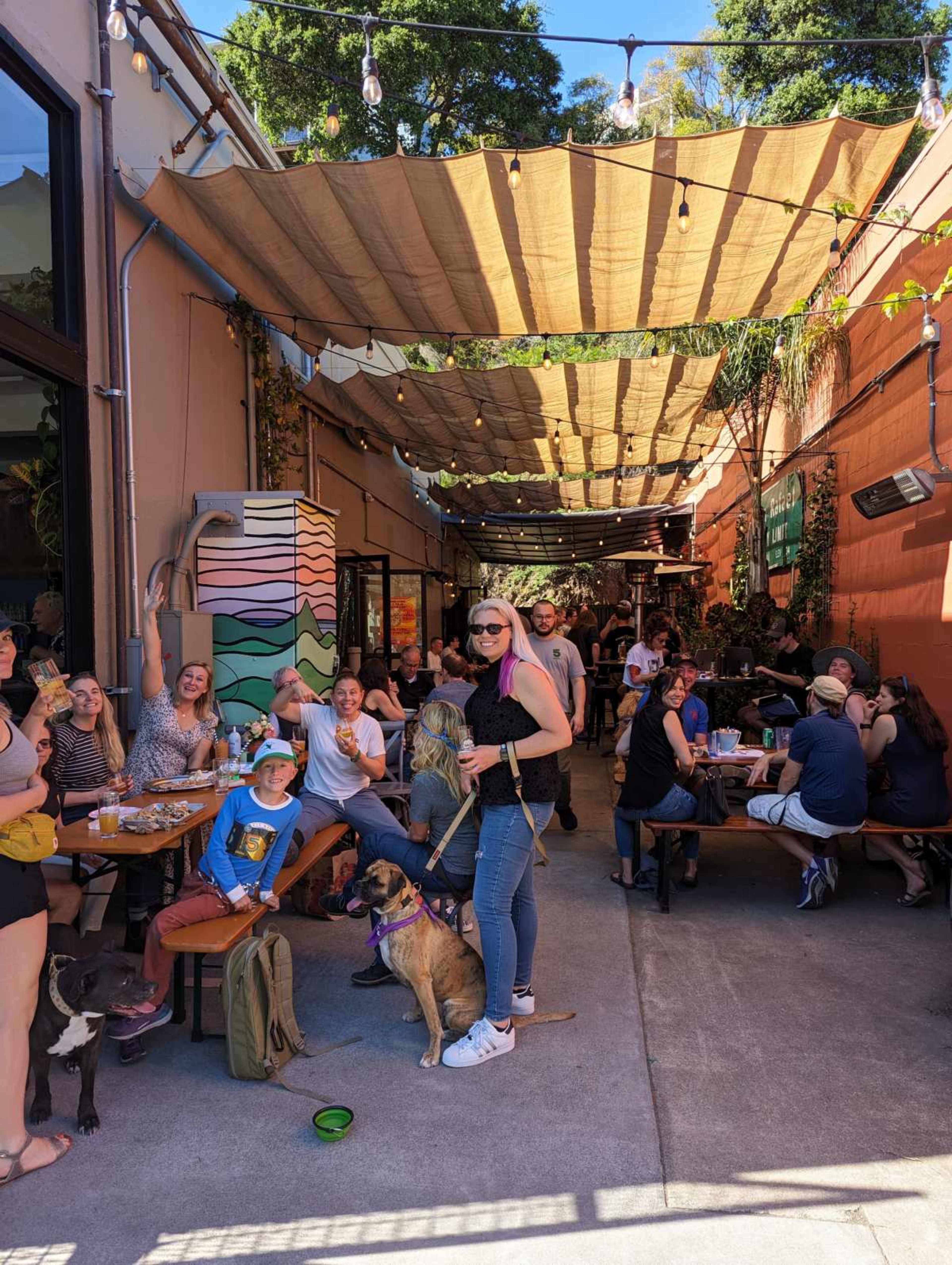 Spacious Brewery & Taproom in Downtown San Rafael Image in San Rafael, San Rafael, CA