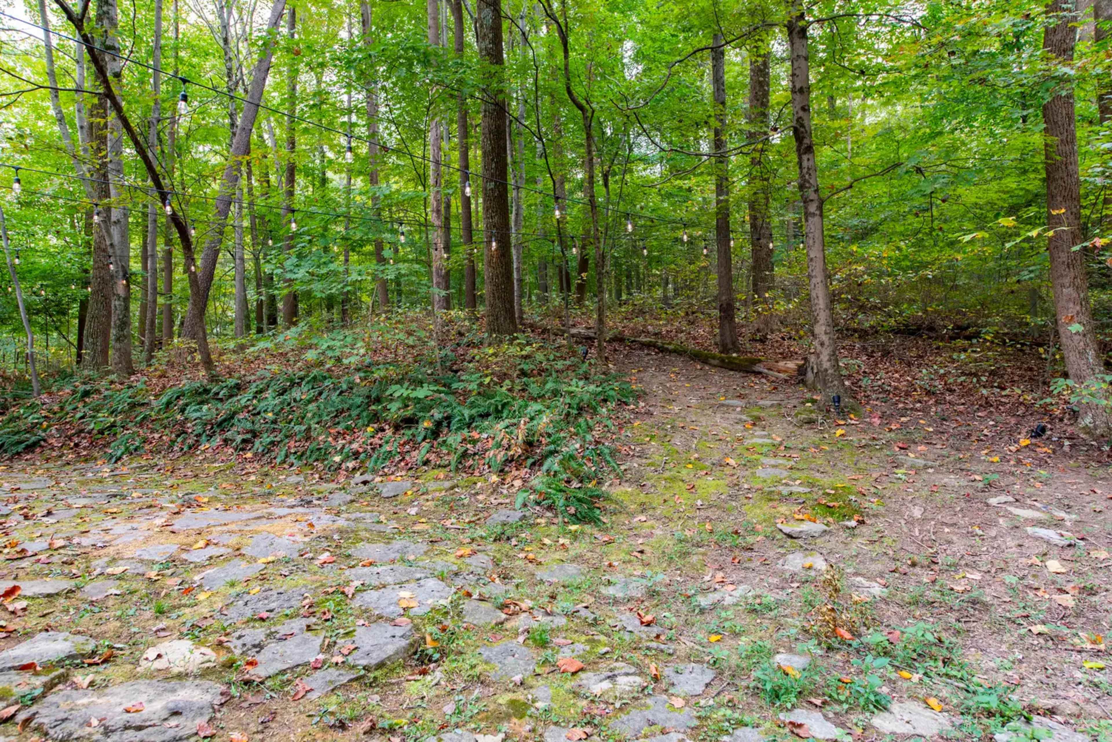 A stone path leads into a wooded area with dense green foliage and a trail diverging to the right.