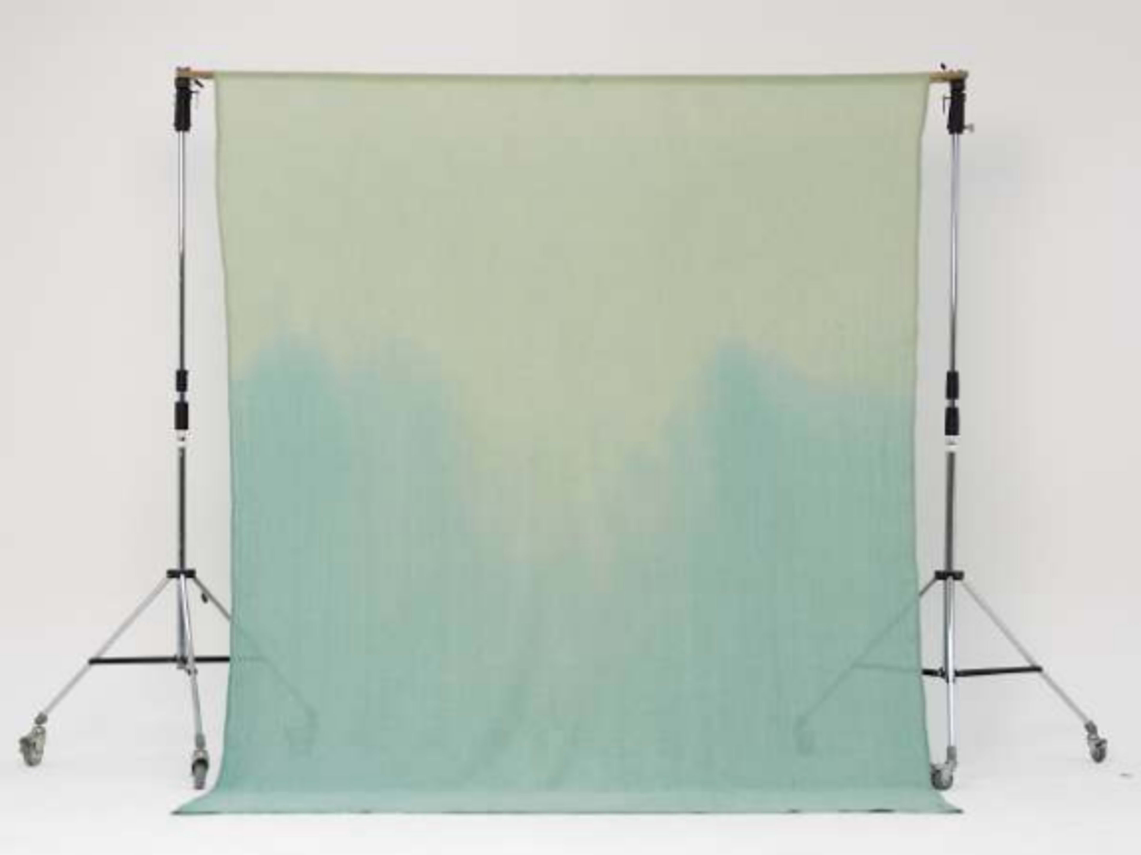 Fabric Backdrop: Ombré Sage