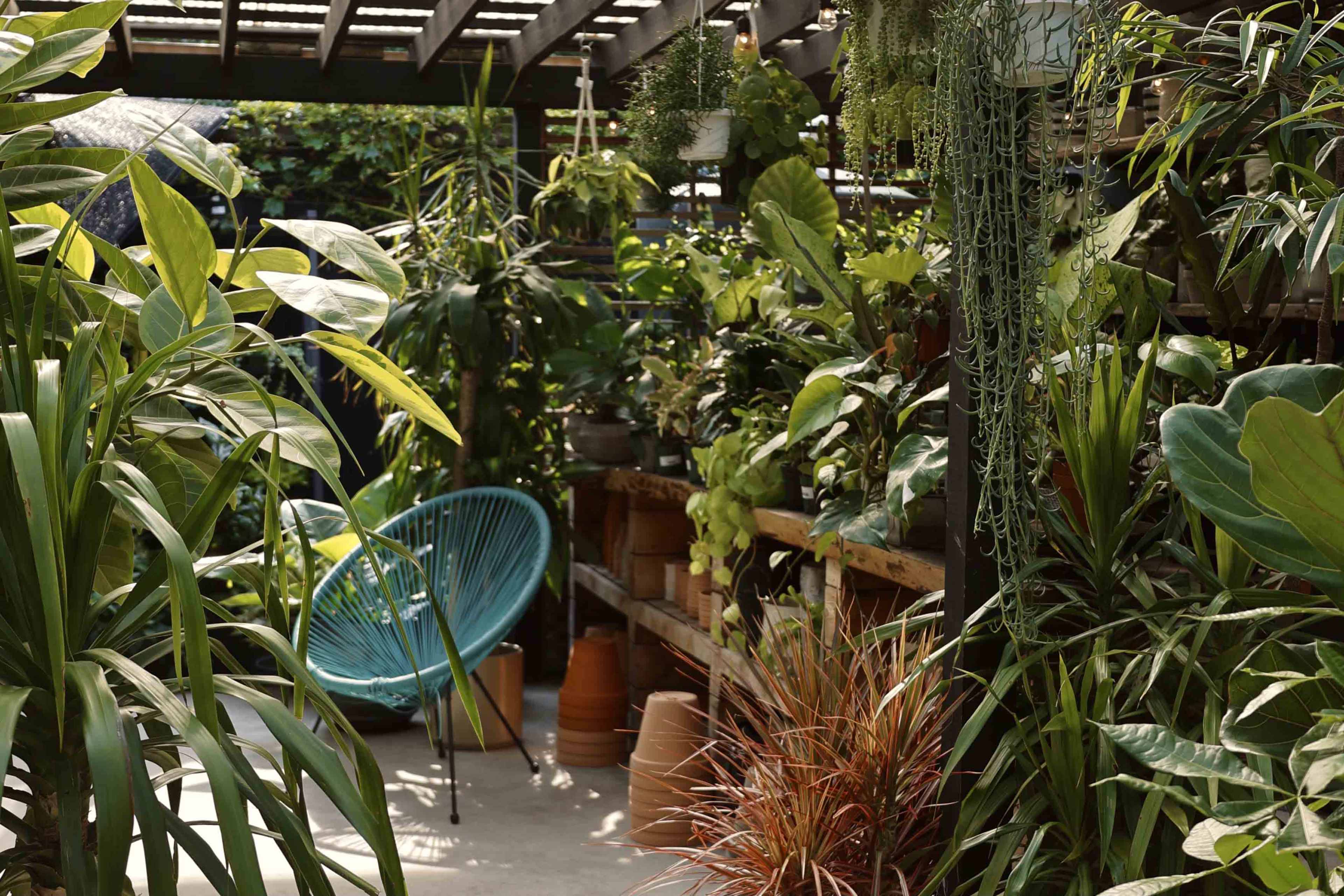 Unique And Versatile Outdoor Space With Luscious Garden Image in Clinton Hill, Brooklyn, NY