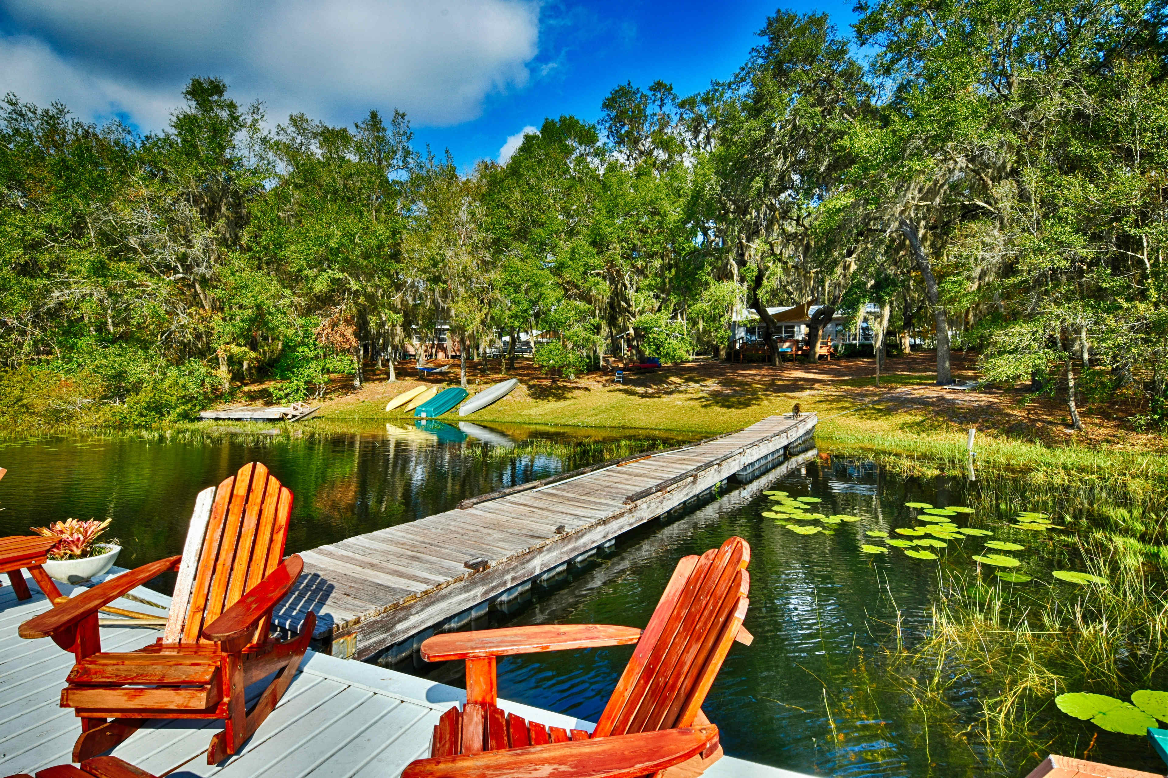 A wooden dock extends into a calm pond, lined with adirondack chairs and surrounded by lush greenery and lily pads.