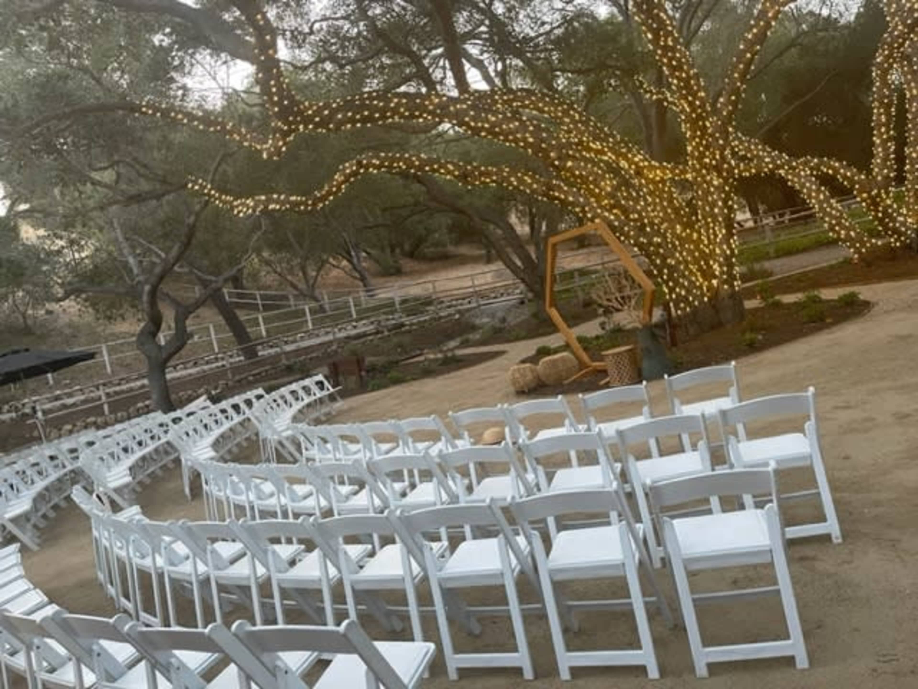 A set-up for an outdoor event with white chairs arranged in rows beneath a tree adorned with string lights.