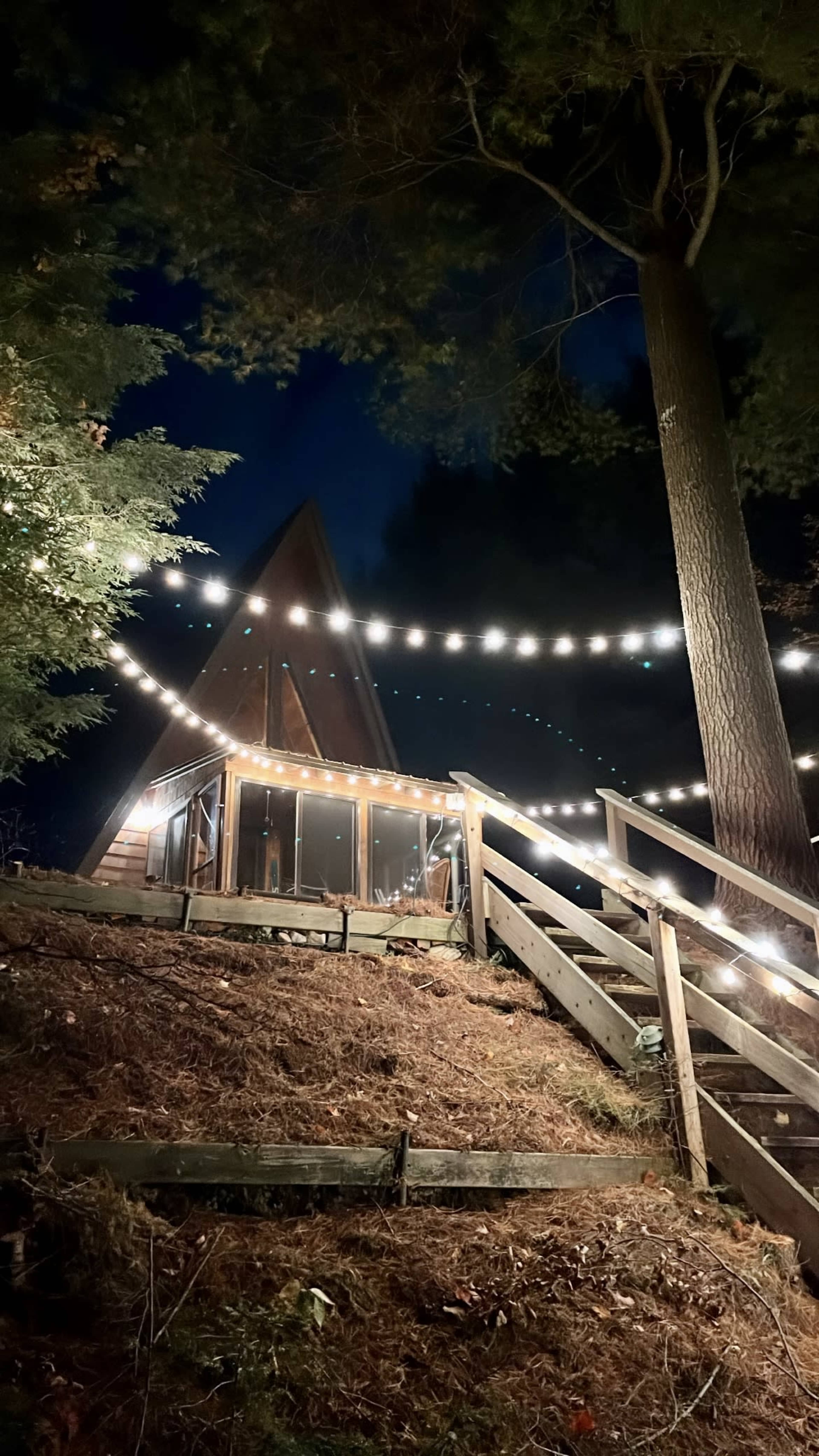 A triangular wooden cabin with string lights is situated on a hillside surrounded by trees at night.