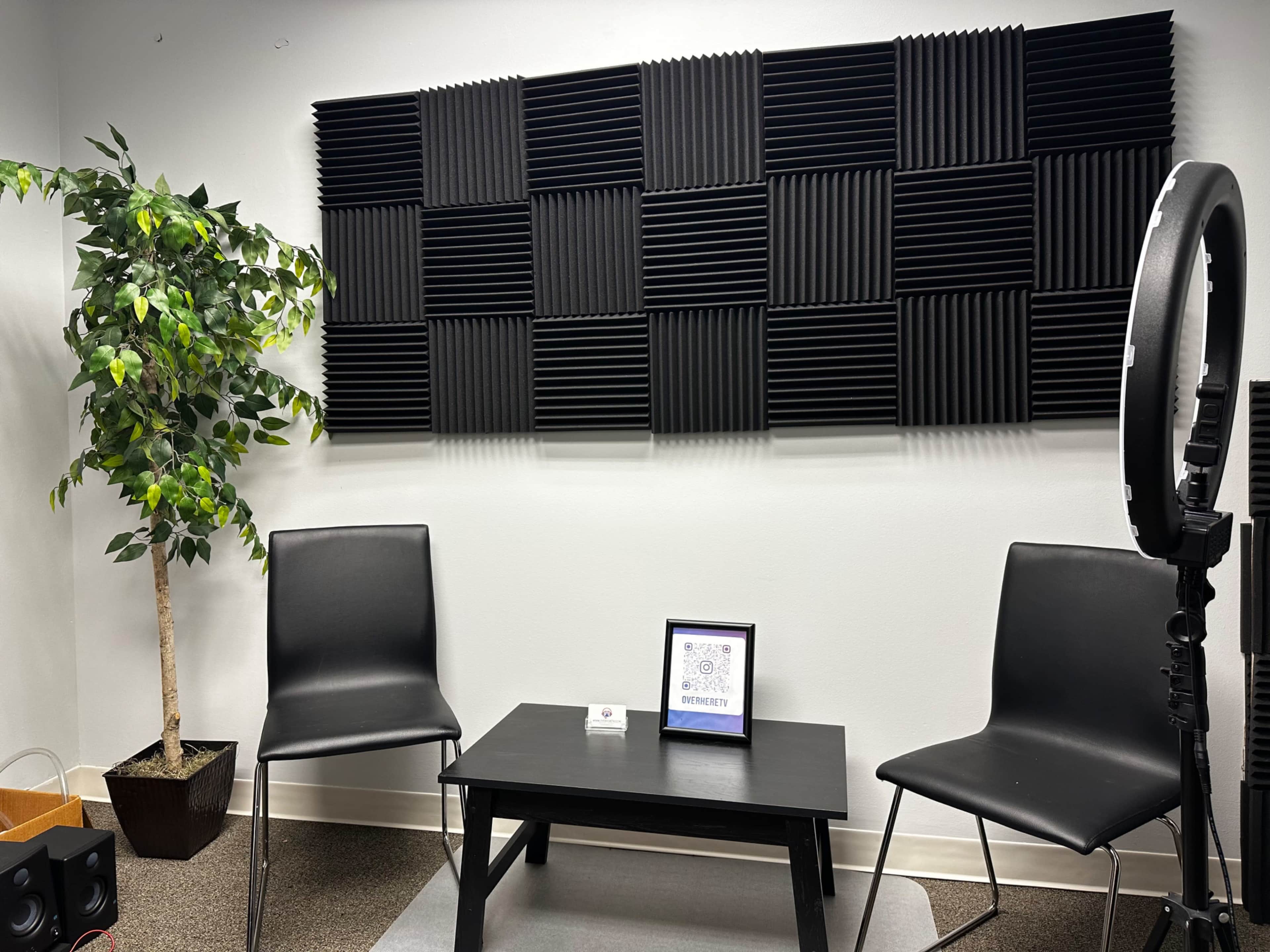 The image shows a small room with a black acoustic panel wall, two black chairs, a table with a framed item, and a potted plant.