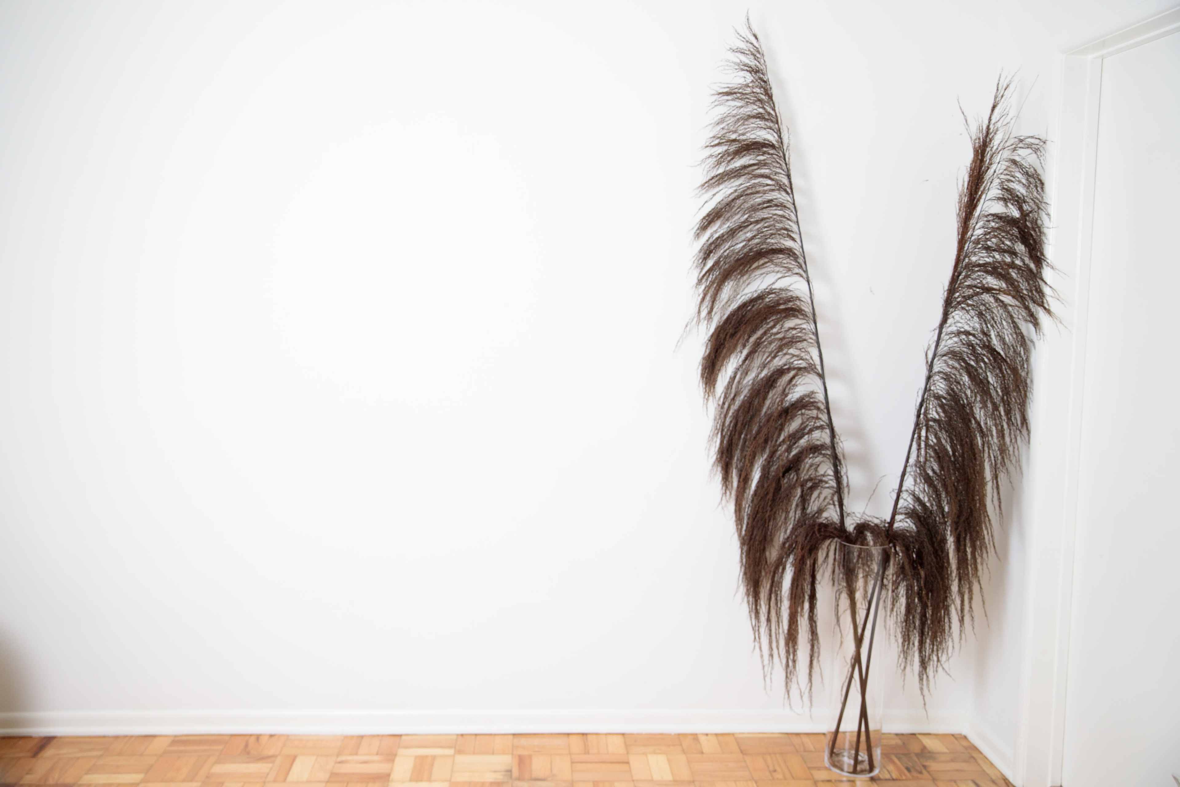 A large, decorative plant with long, feathery leaves is positioned in a clear vase against a plain white wall.