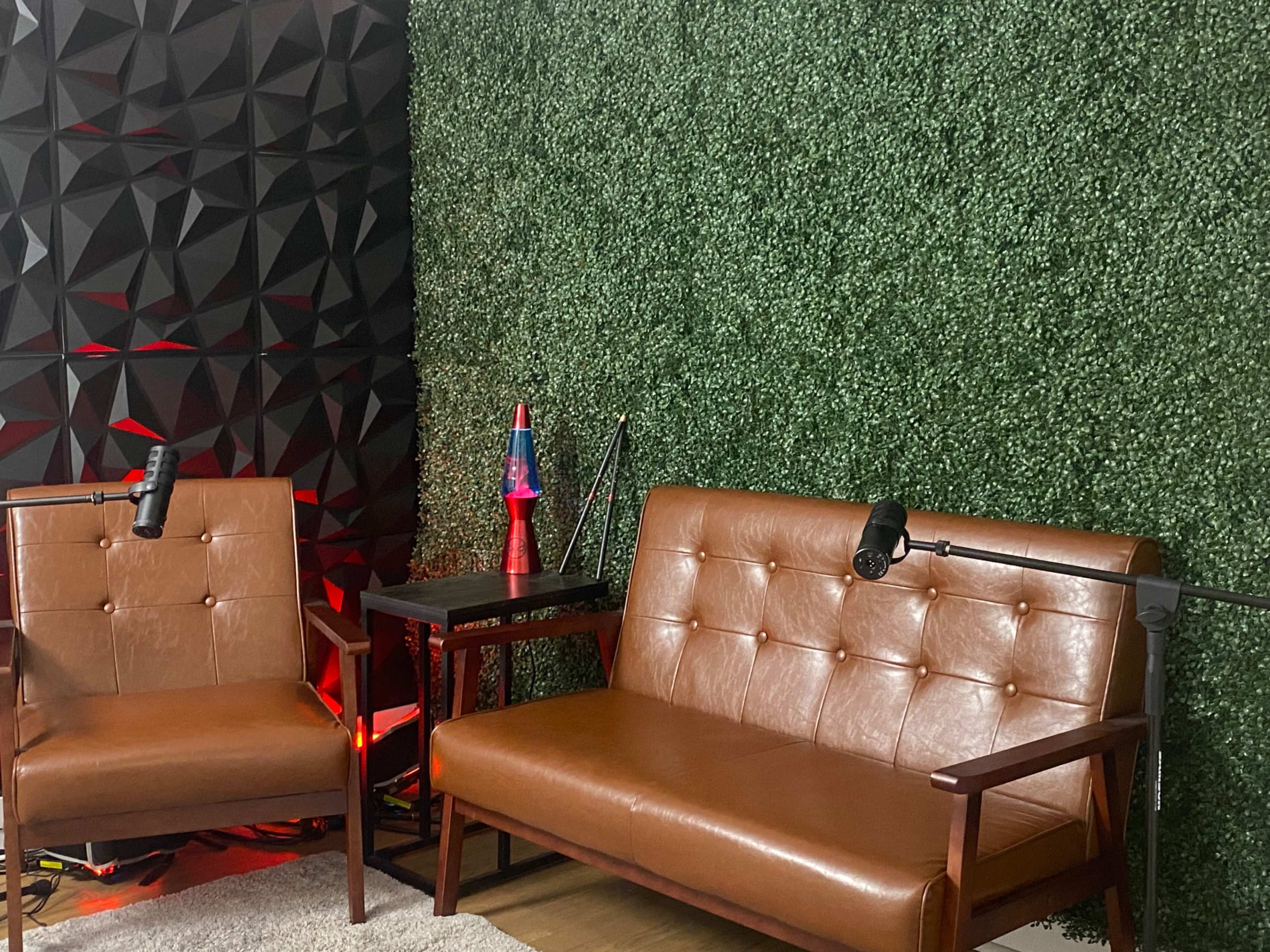 The image shows a podcast recording setup with two brown leather chairs, a small table, and a green textured wall decorated with plants.