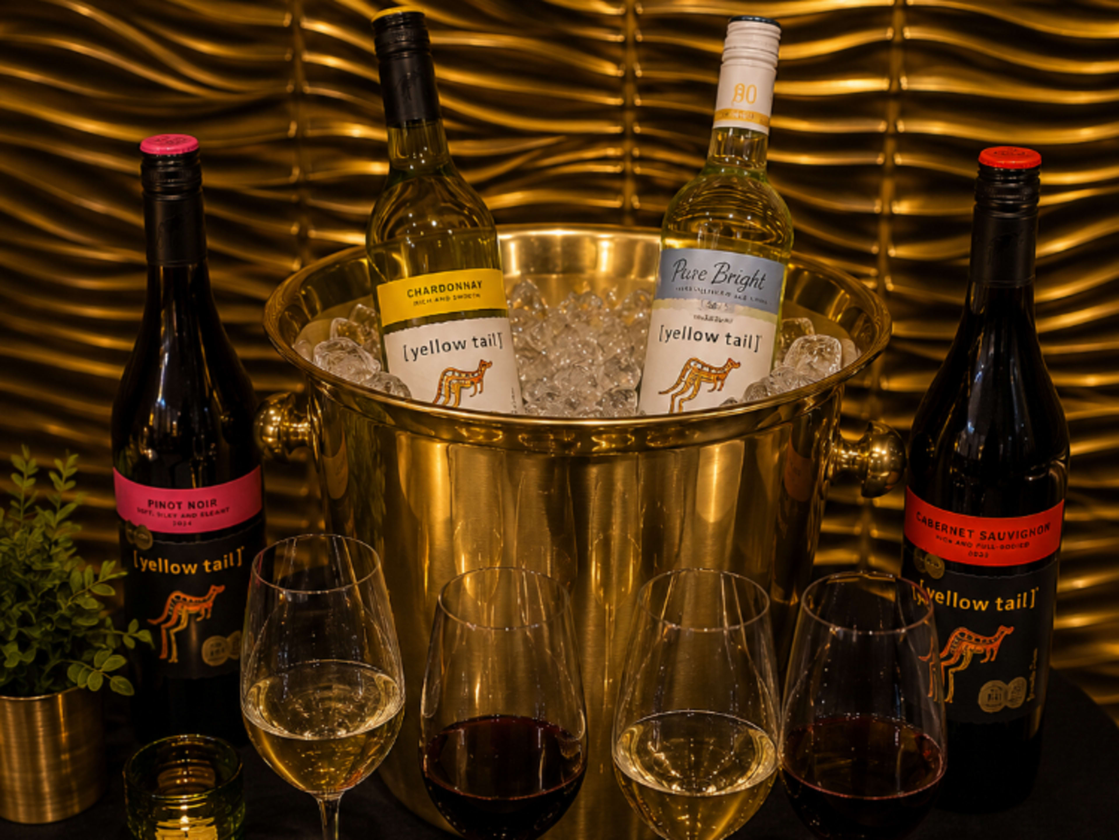 🍷 Celebrate in Style – Wine Package