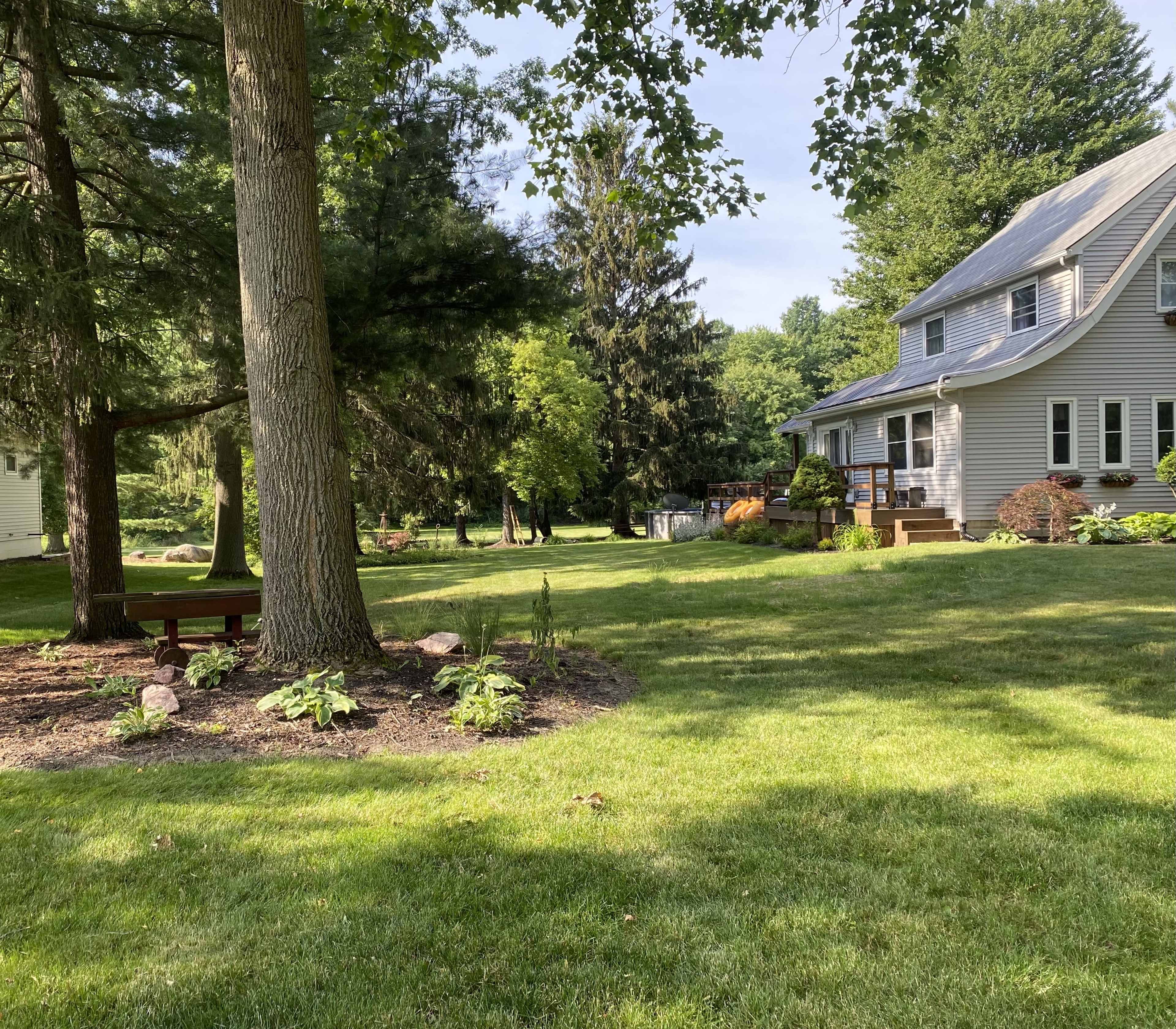 A spacious yard with a well-maintained house on the right, surrounded by trees and grass, featuring a small bench near the base of a large tree.