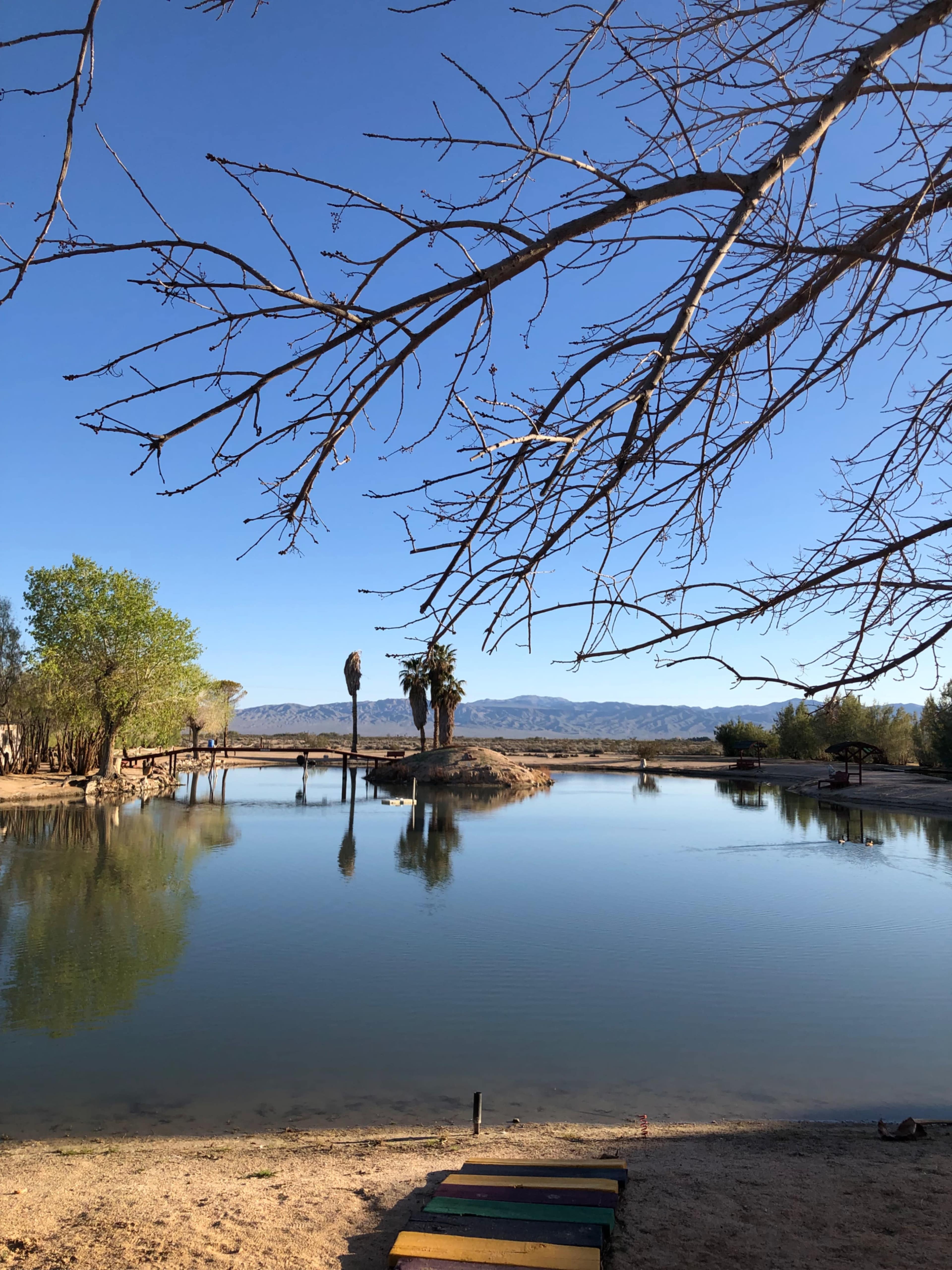 The image shows a calm body of water reflecting trees and mountains under a clear blue sky.