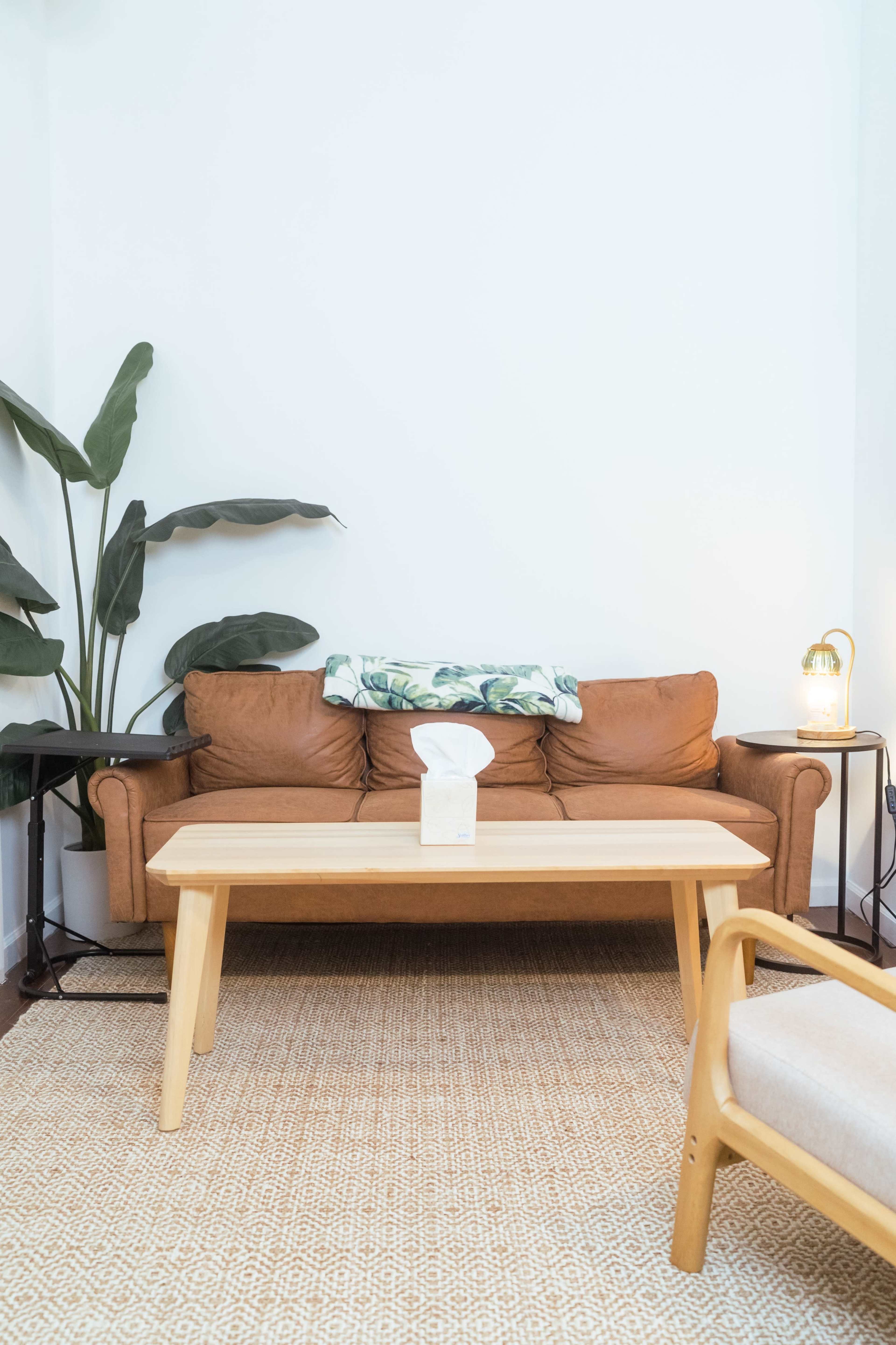 A brown leather couch with a decorative pillow sits against a white wall, accompanied by a wooden coffee table and a tall plant in the corner.