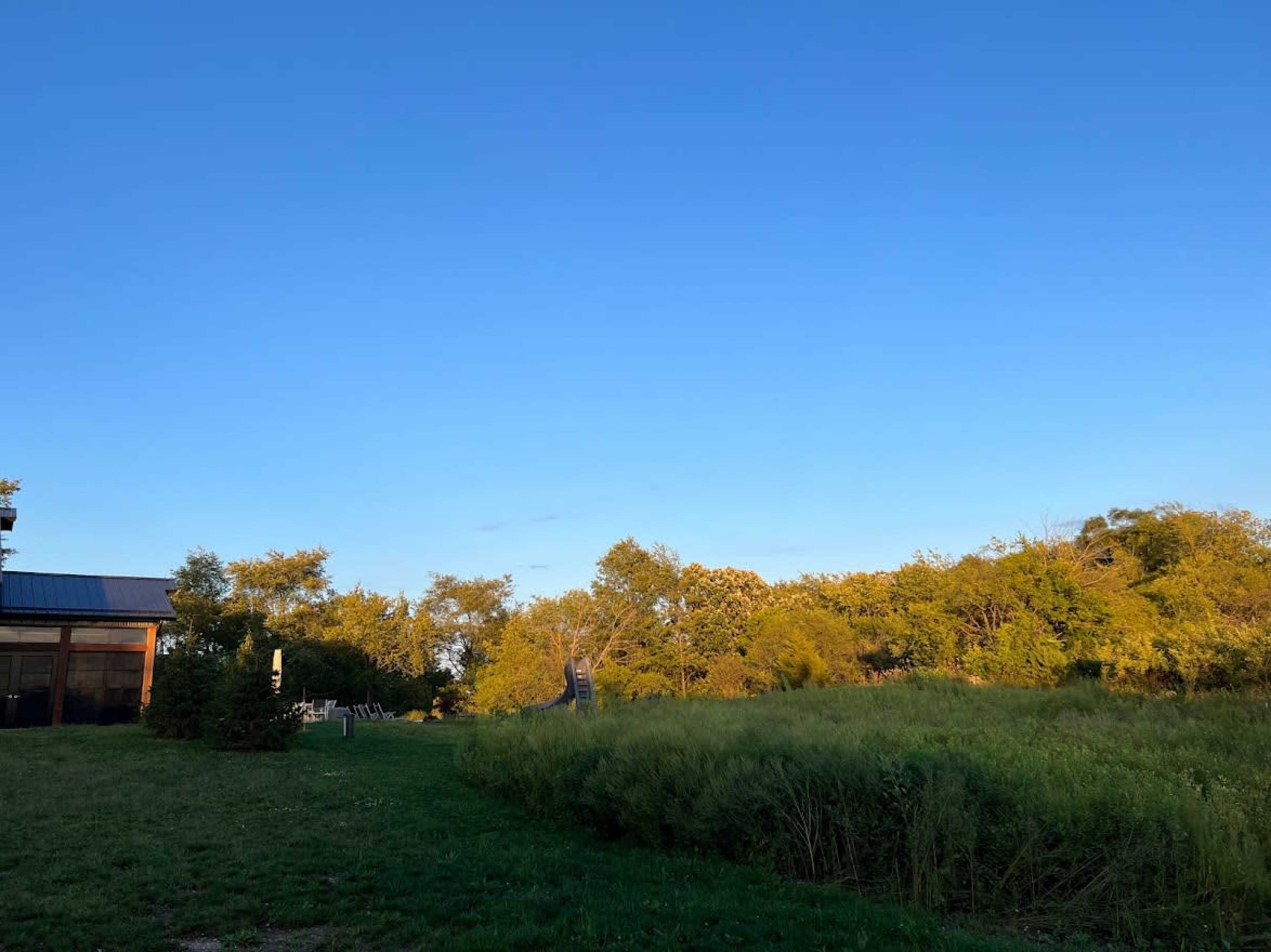A clear blue sky stretches over a grassy area dotted with trees and a building in the background.
