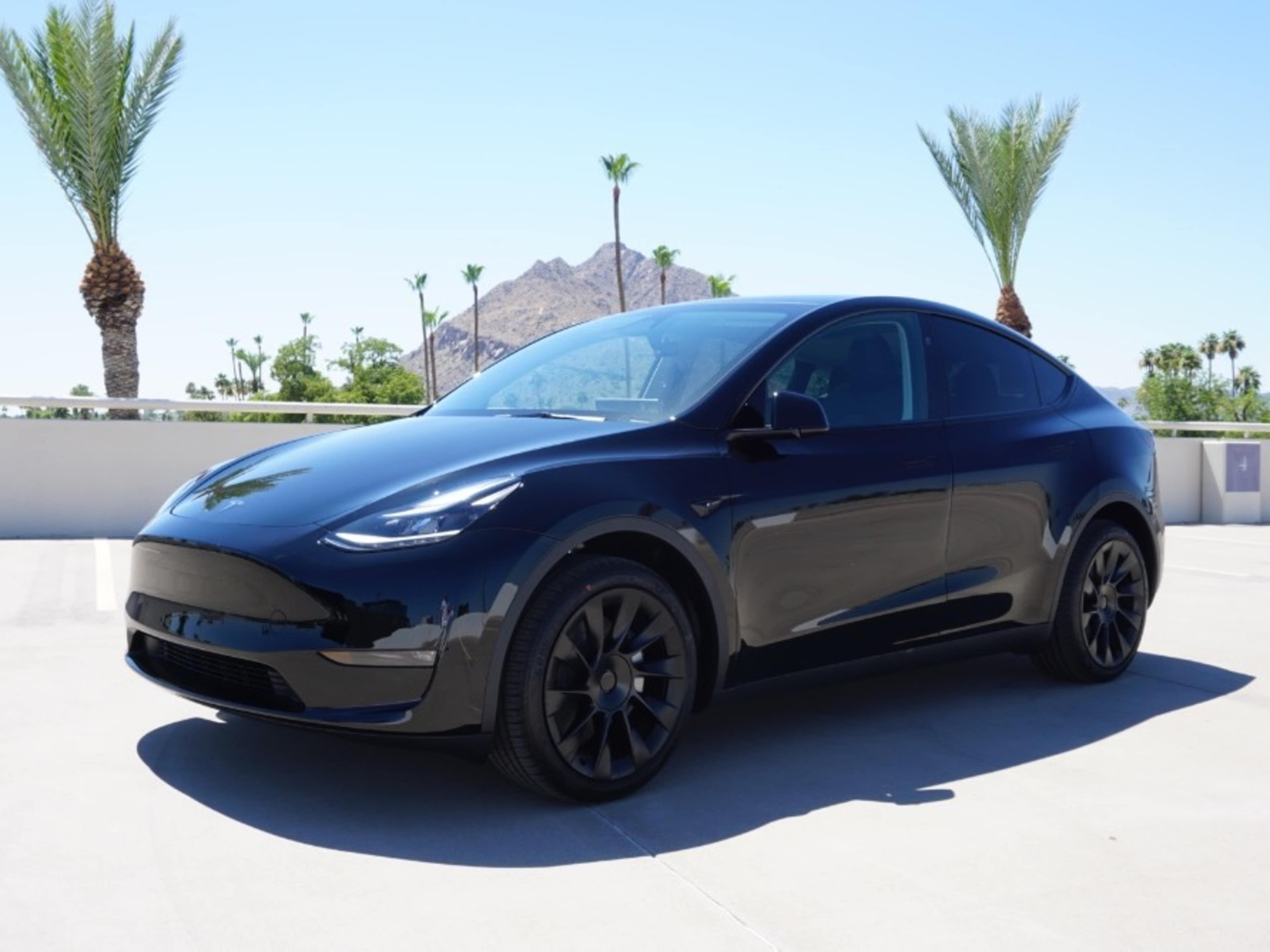 Tesla Model Y Rental