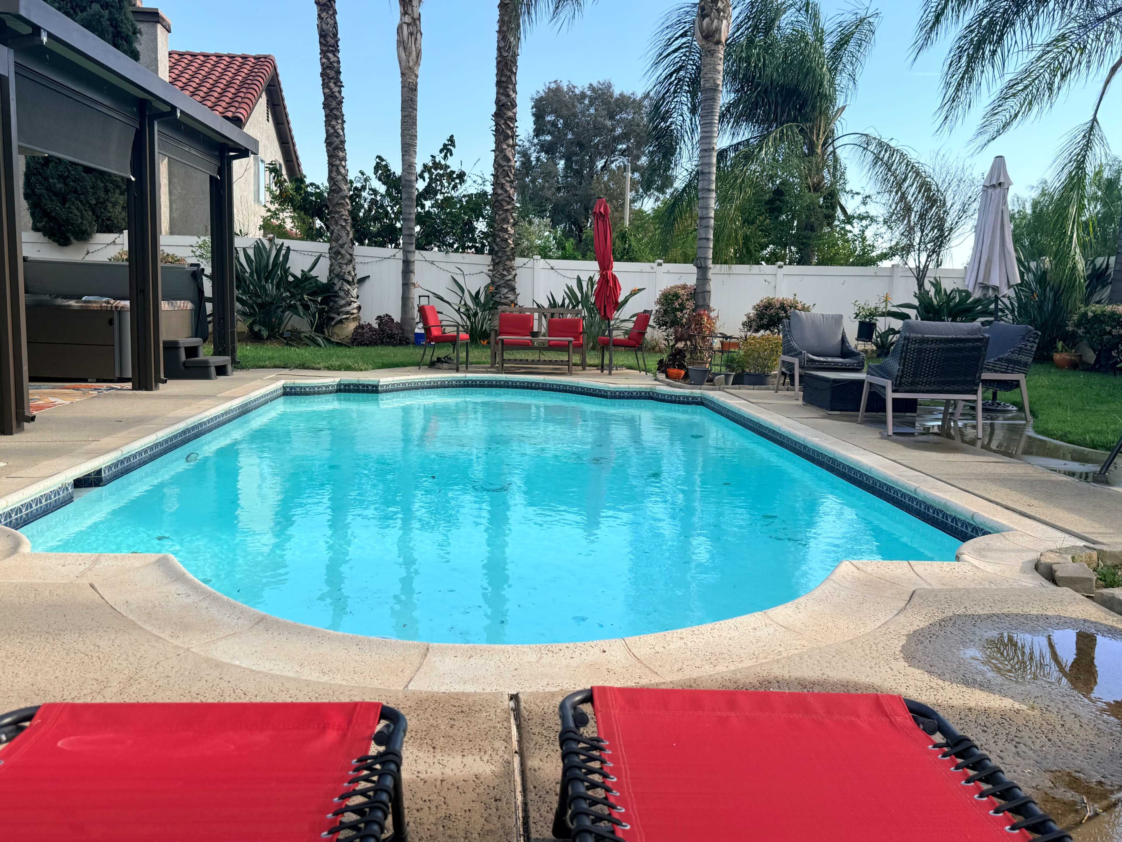 A bright blue swimming pool is surrounded by lounge chairs, patio furniture, and palm trees in a residential backyard.