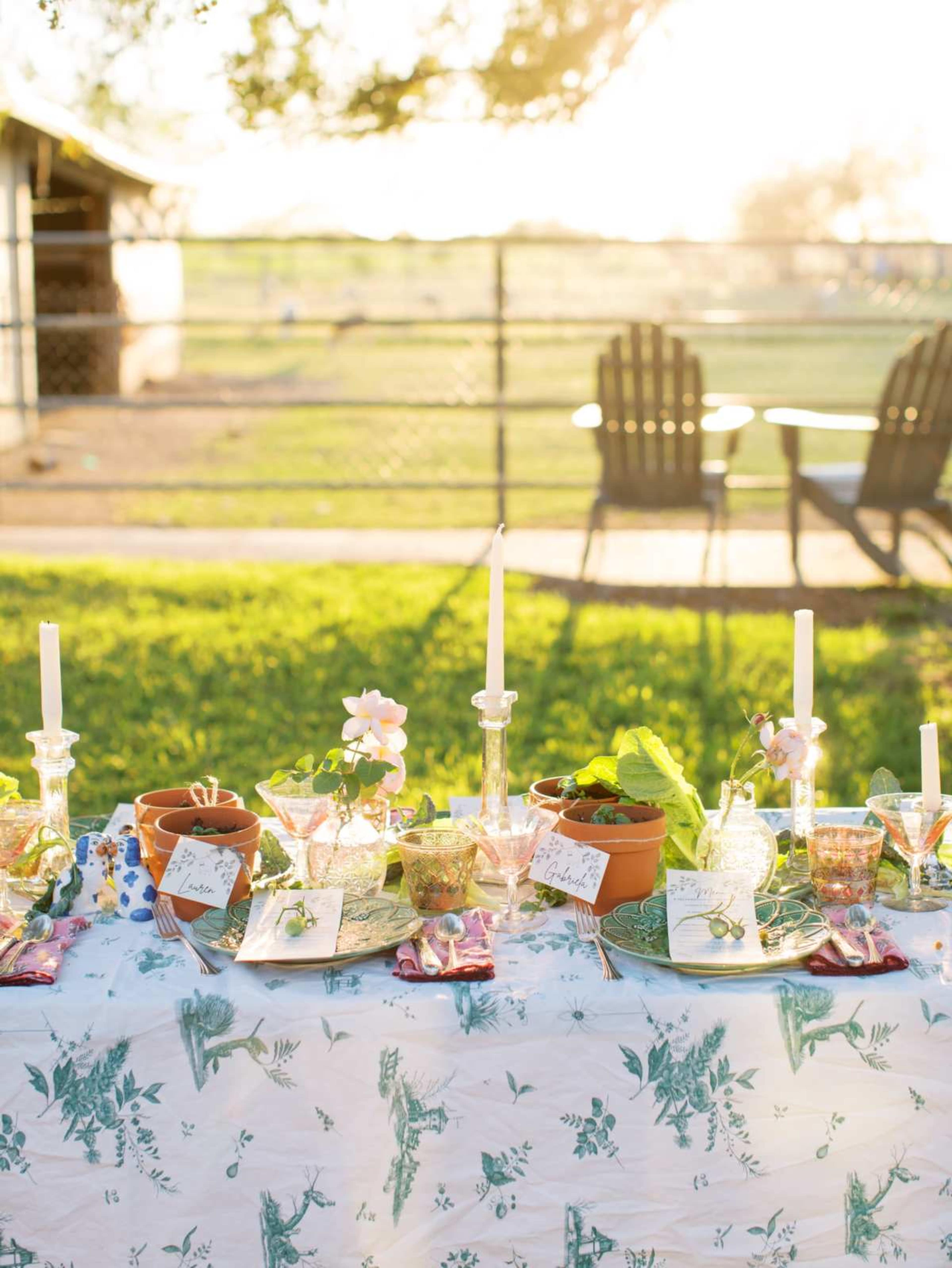 A dining table adorned with potted plants, candles, and place cards is set outdoors, with a fence and chairs visible in the background under warm sunlight.