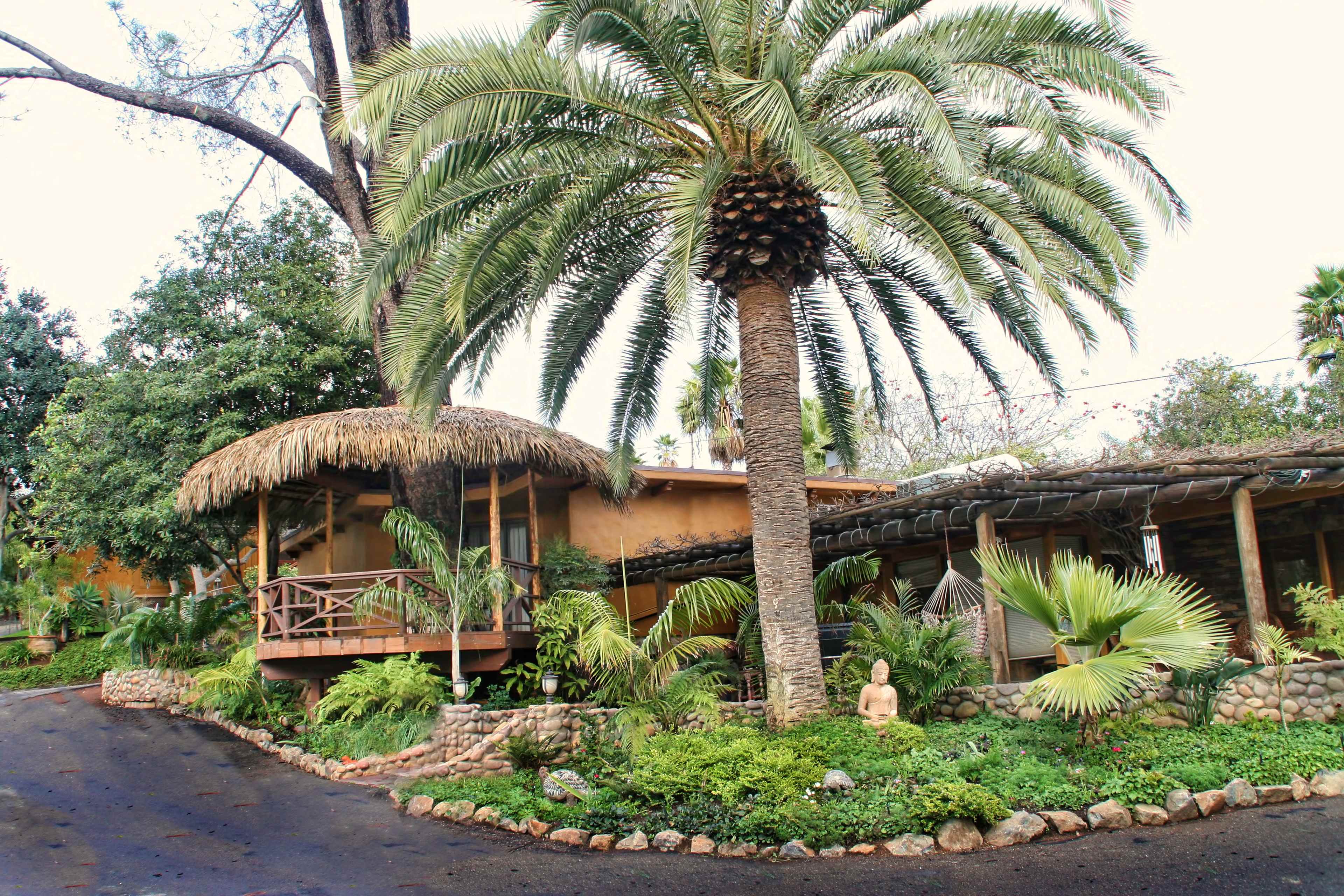 A tropical-style house with a thatched roof and palm trees surrounded by lush greenery and decorative stones along a winding driveway.