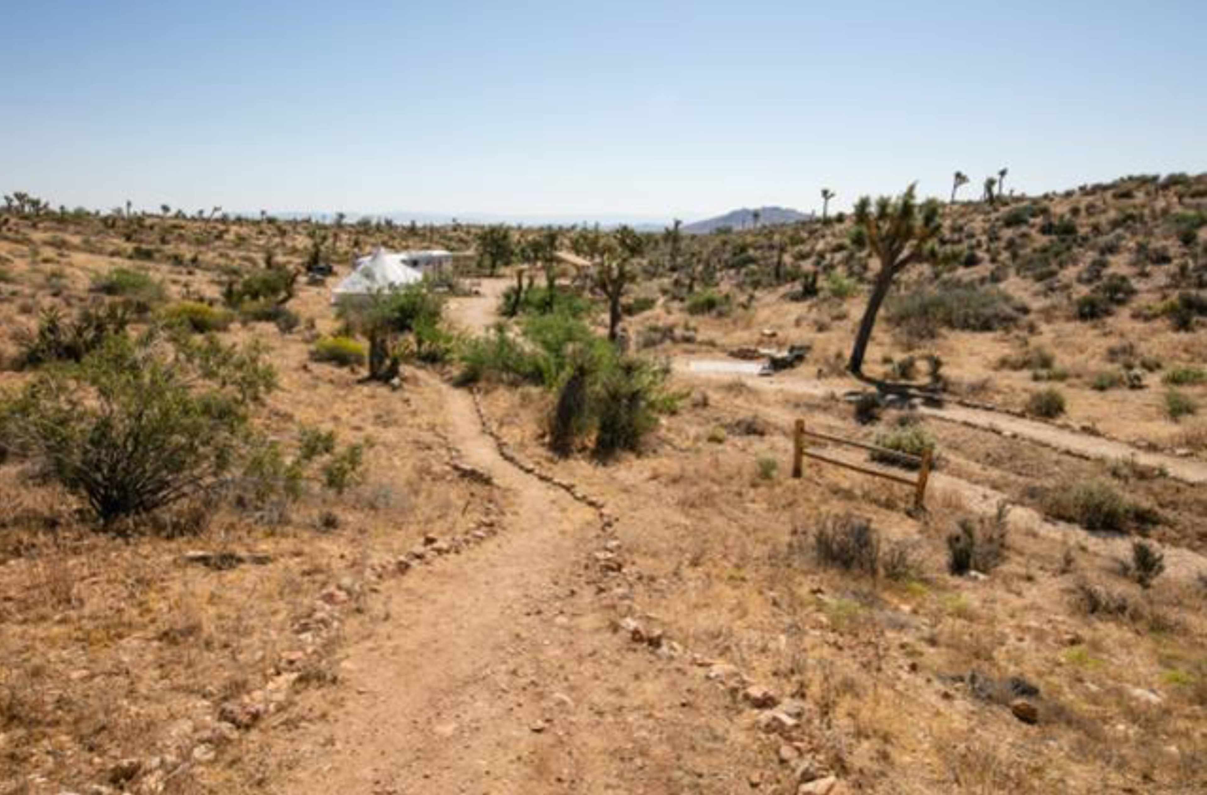 A dirt path winds through a desert landscape dotted with shrubs and Joshua trees.