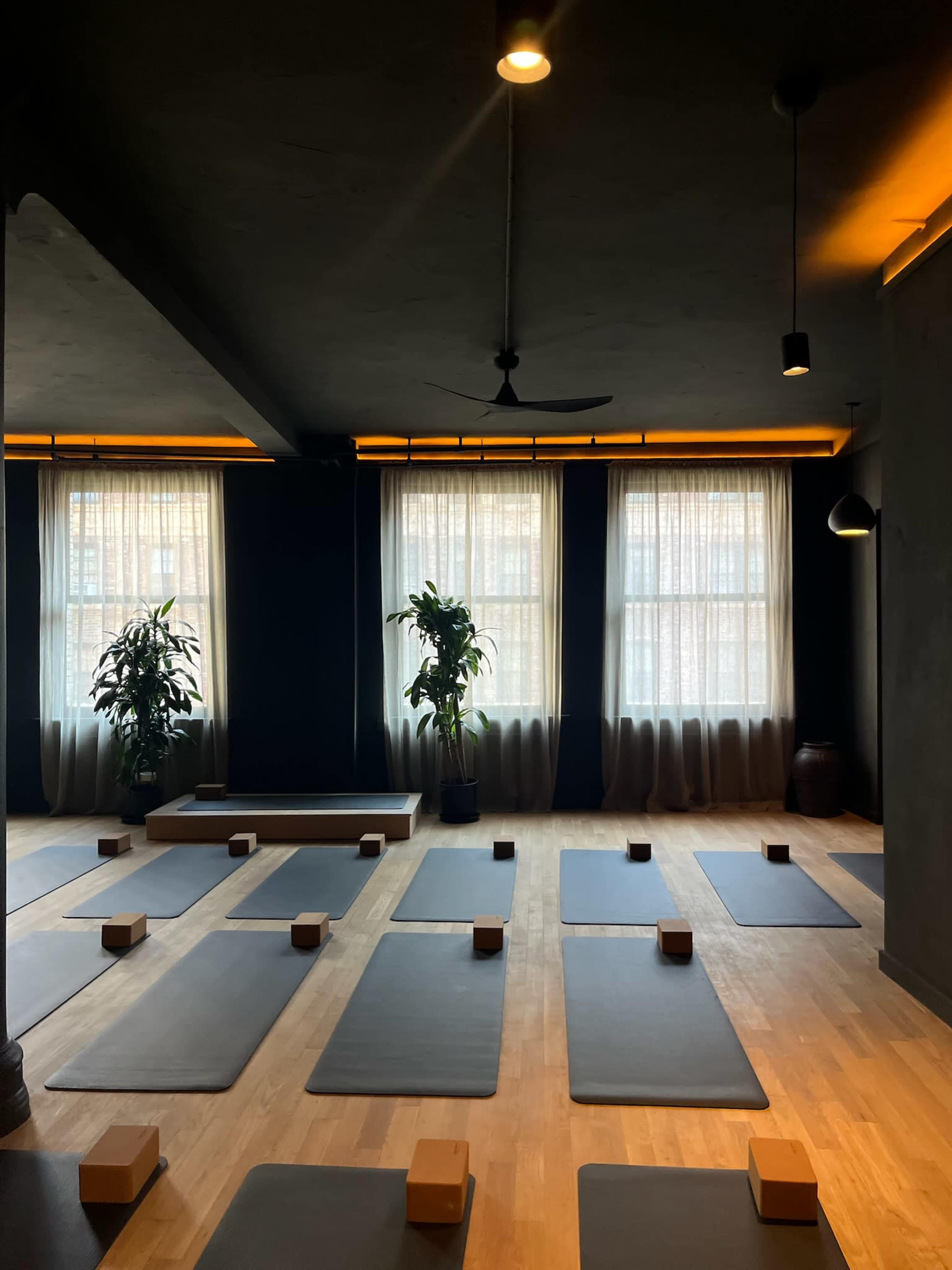 The room features several yoga mats arranged on wooden flooring, with plants and large windows illuminating the space.