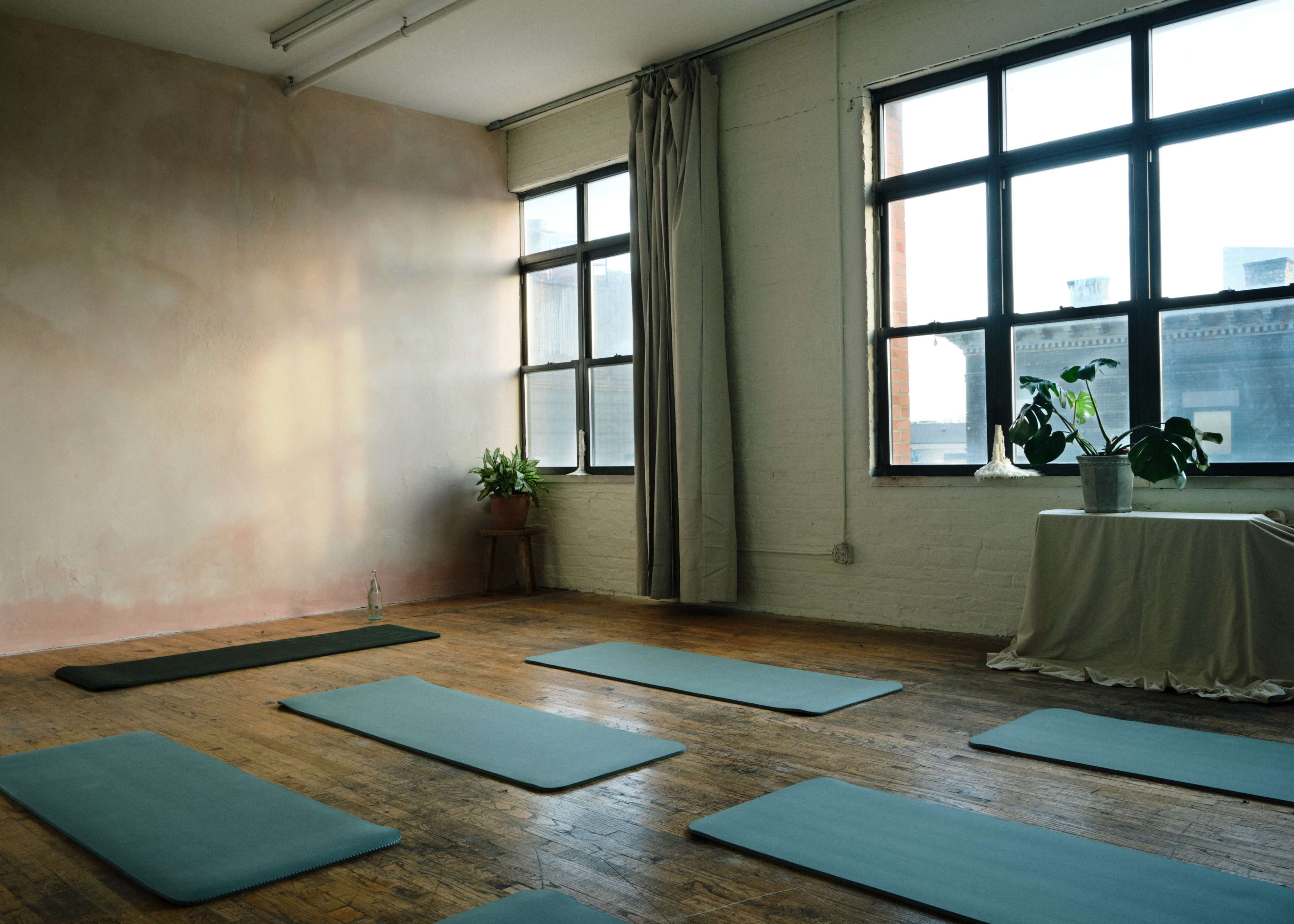 The image depicts a yoga studio with several blue mats arranged on a wooden floor, large windows allowing natural light, and potted plants in the corners.