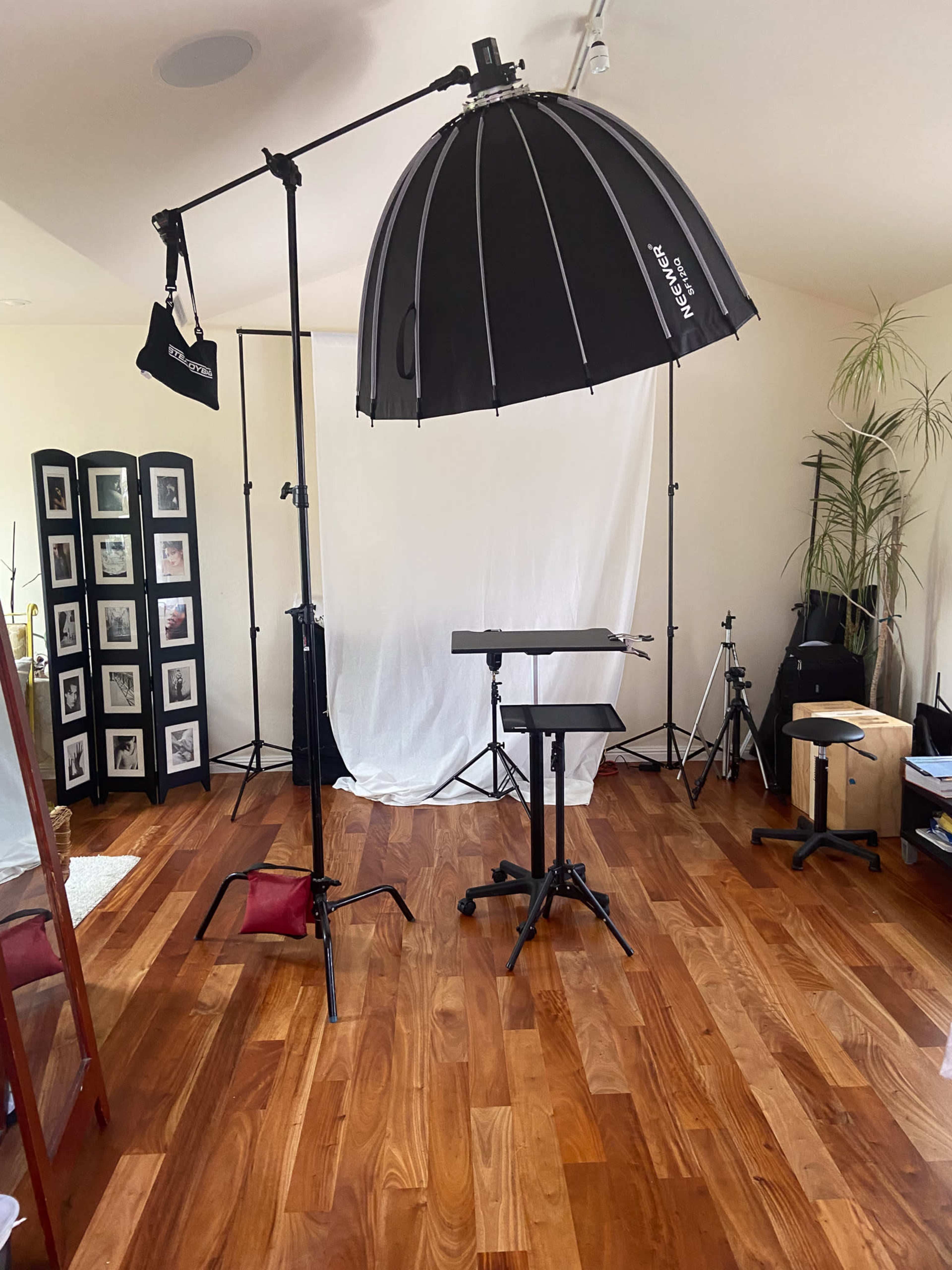 The image shows a photography studio setup with a large umbrella softbox, various stands, a backdrop, and a table in a room with wooden floors and indoor plants.