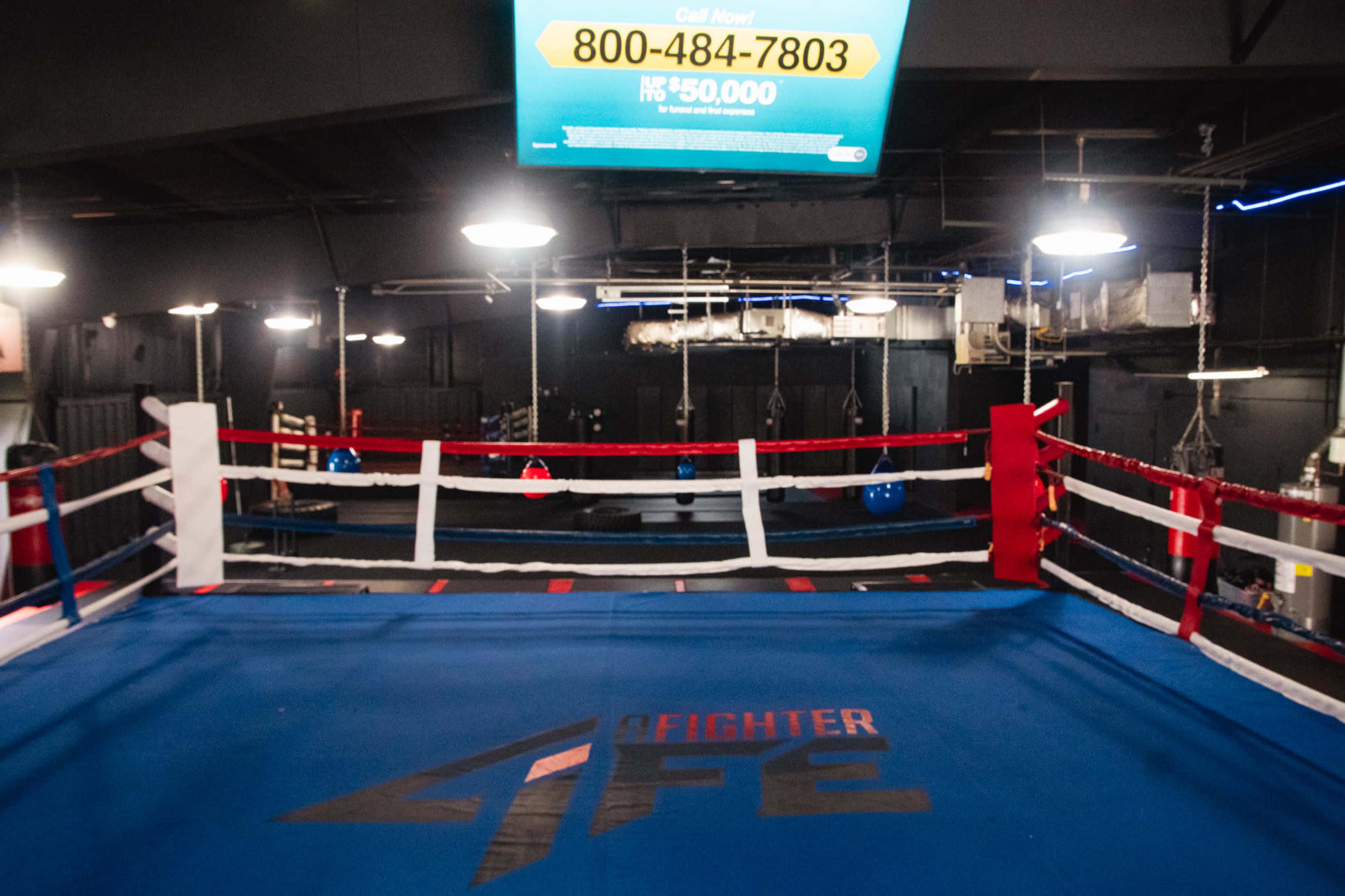 The image shows an empty boxing ring with red and white ropes, a blue mat featuring the logo "FIGHTER," and a large screen displaying a phone number and promotional text above it.