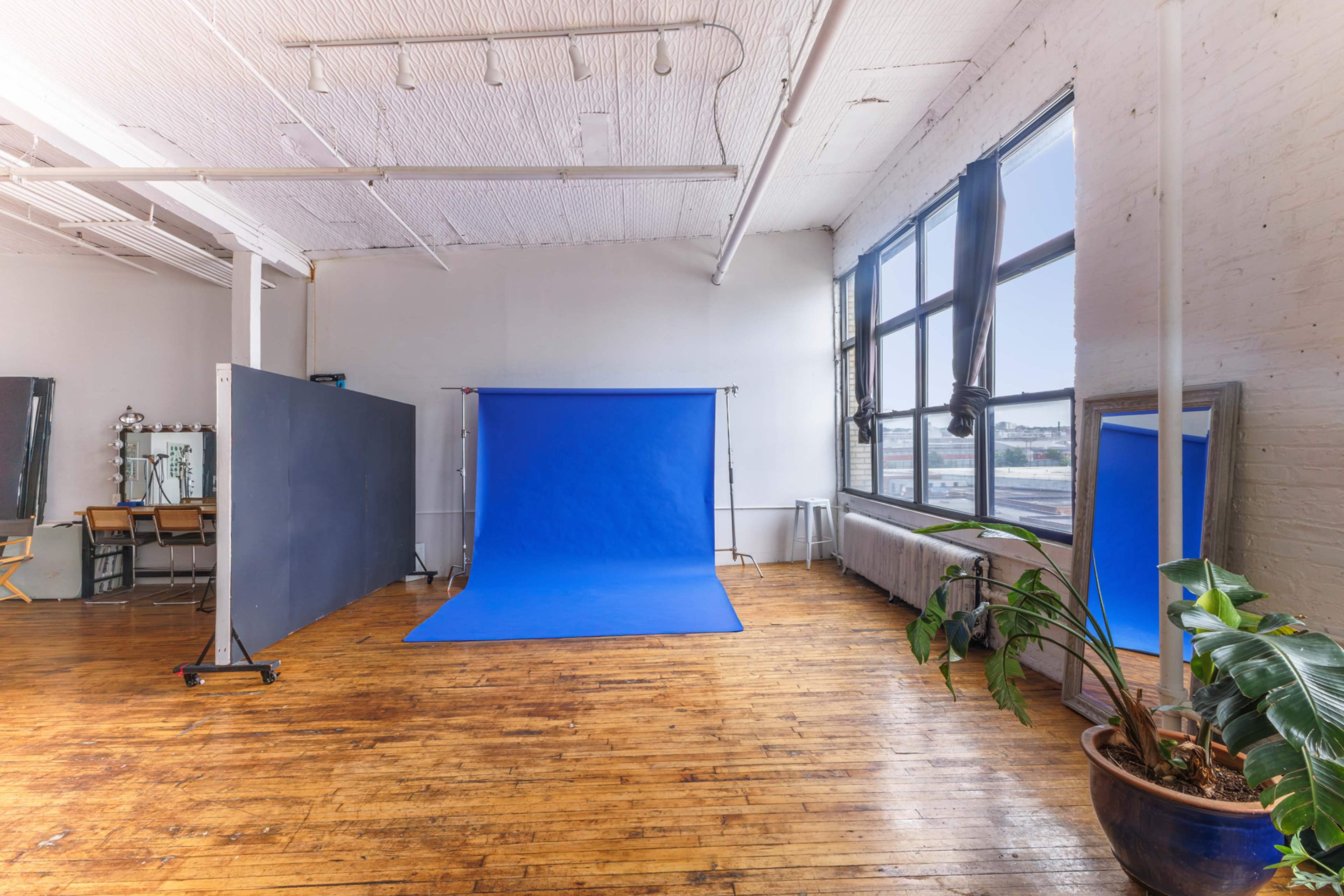 Bright, Beautiful Studio 🌵Urban Jungle 🍃 Hardwood Floors Image in East Williamsburg, Brooklyn, NY