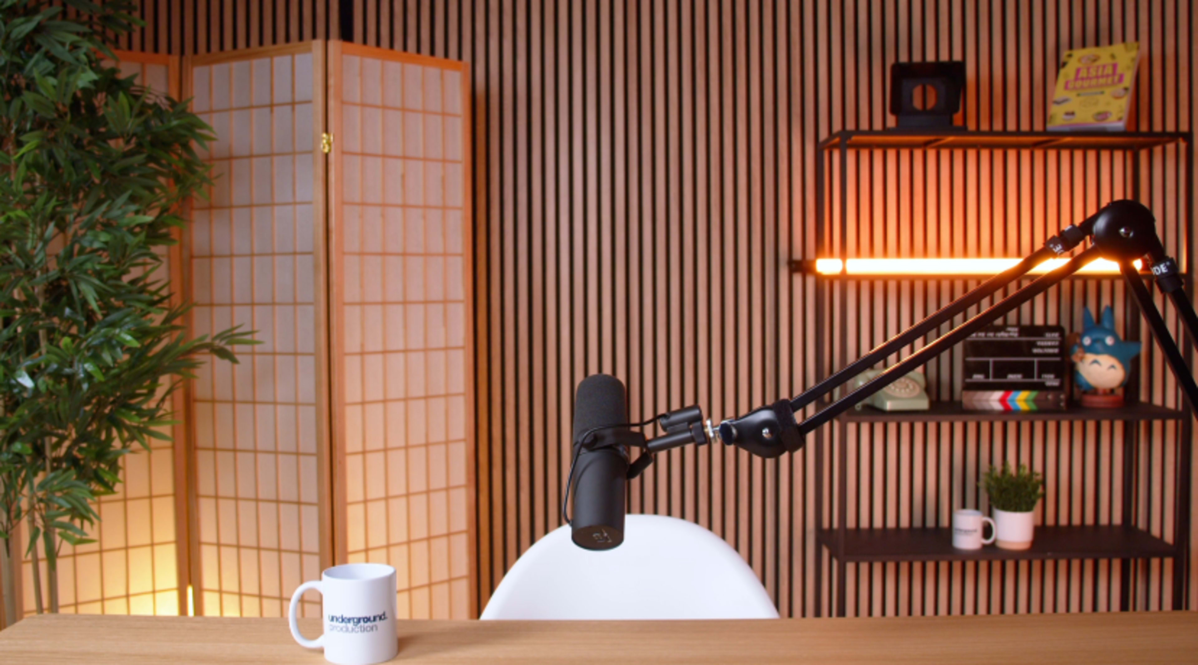 The image shows a minimalistic workspace with a microphone on an adjustable arm, a coffee cup on a wooden table, and decorative elements like a plant and a shelf with items in the background.